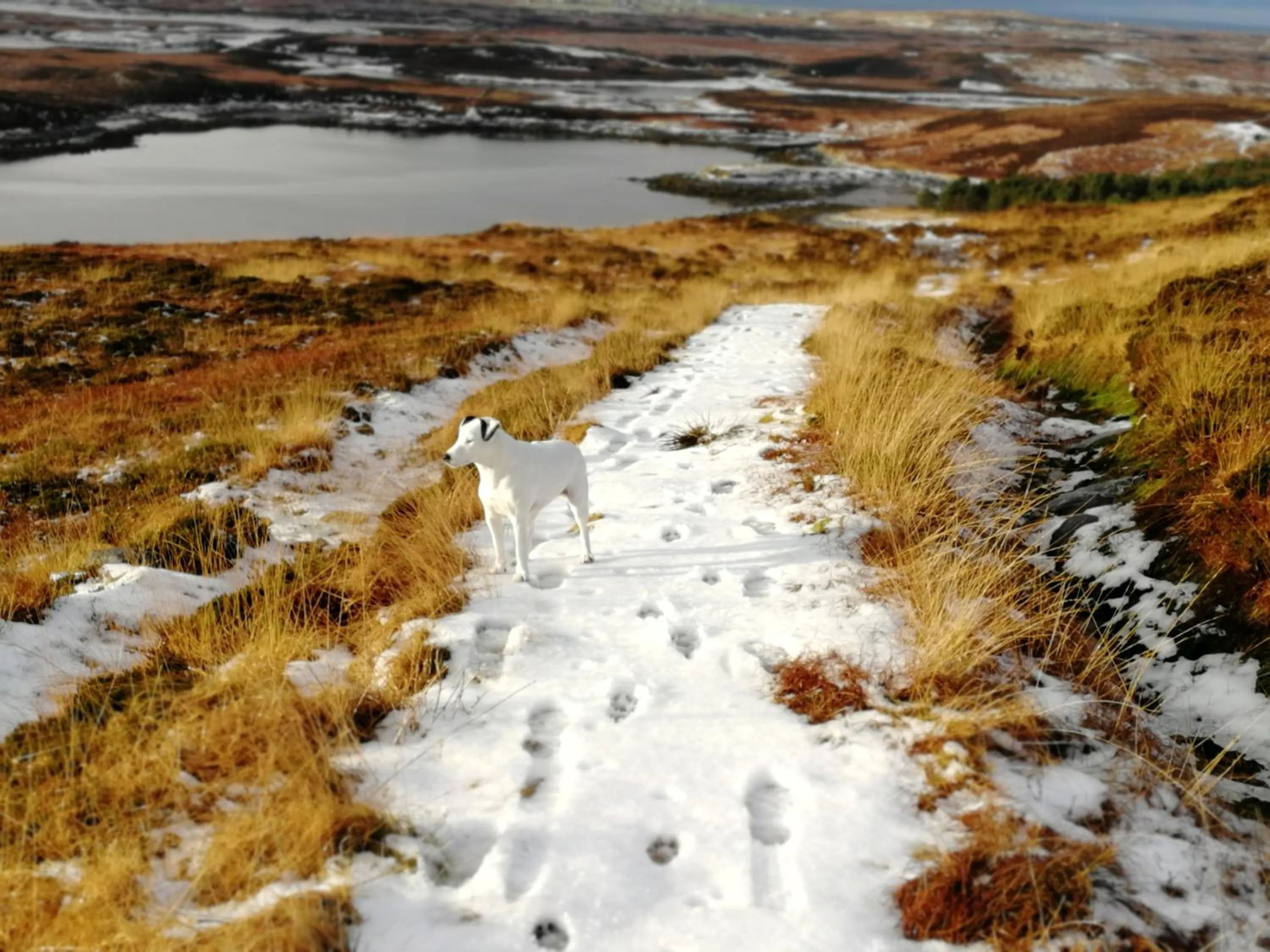 The Fisherman's Snug self catering North Uist