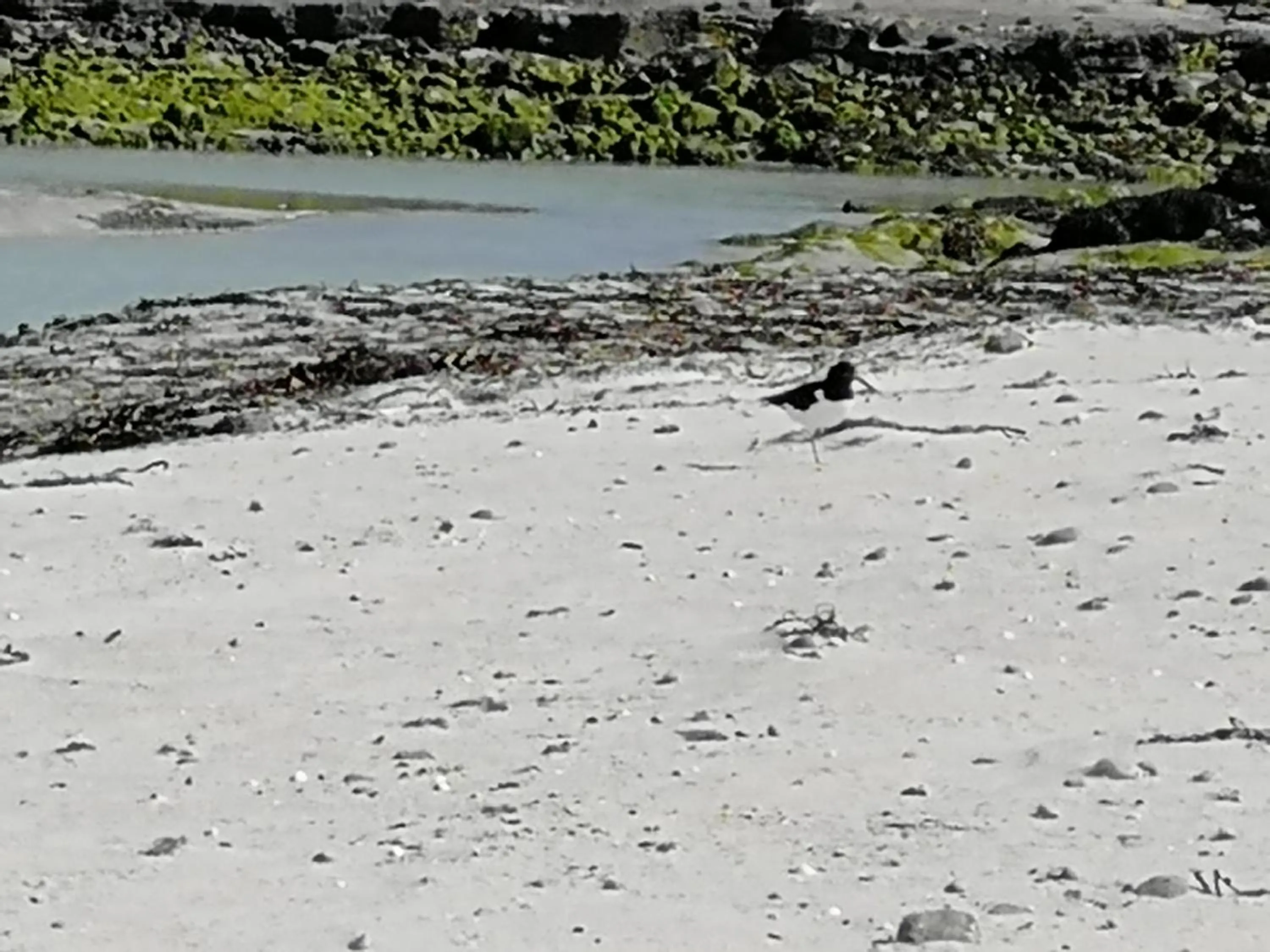 The Fisherman's Snug self catering North Uist
