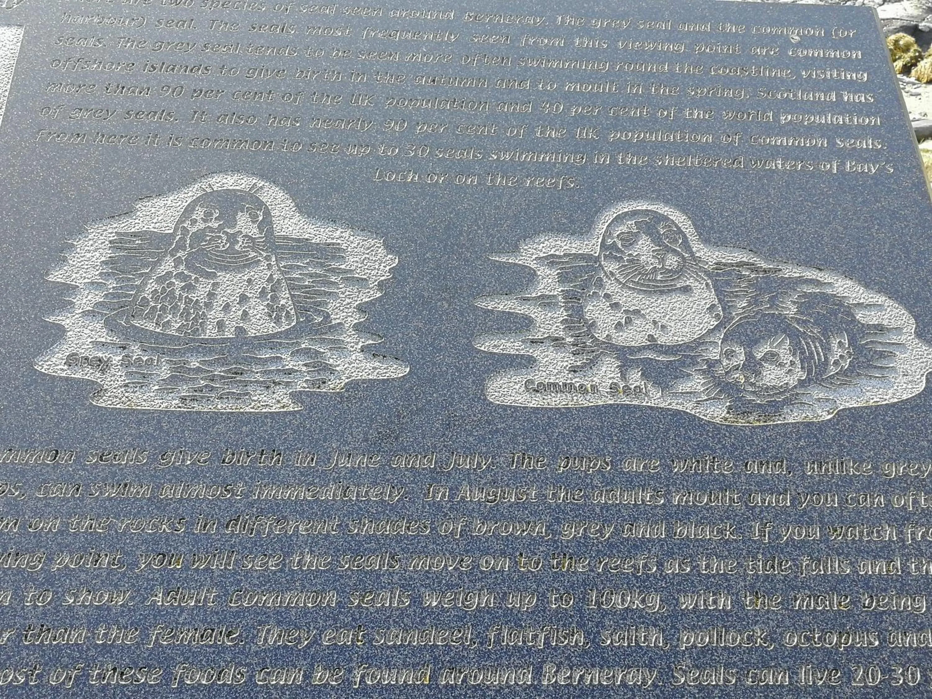 The Fisherman's Snug self catering North Uist