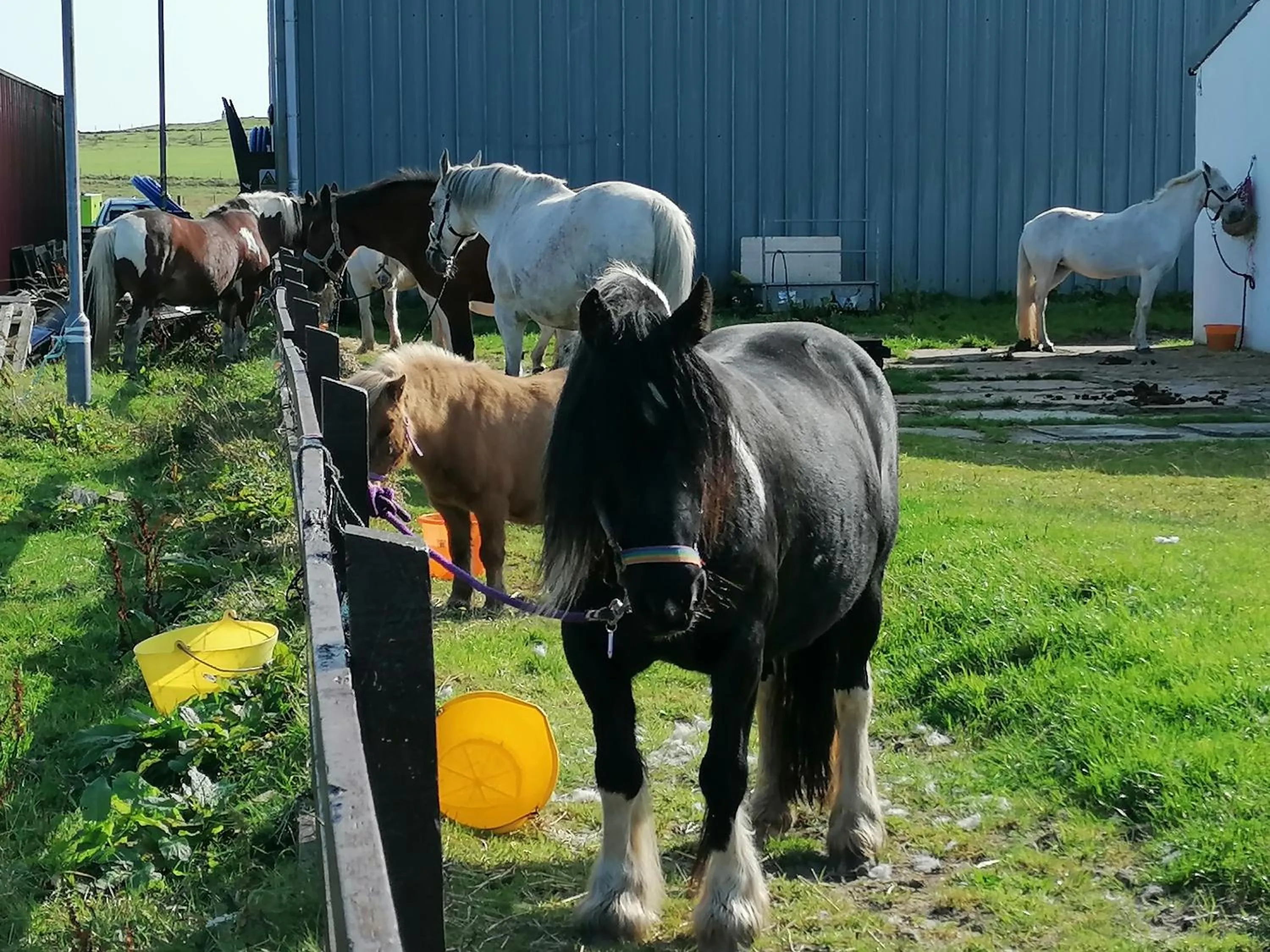 The Fisherman's Snug self catering North Uist