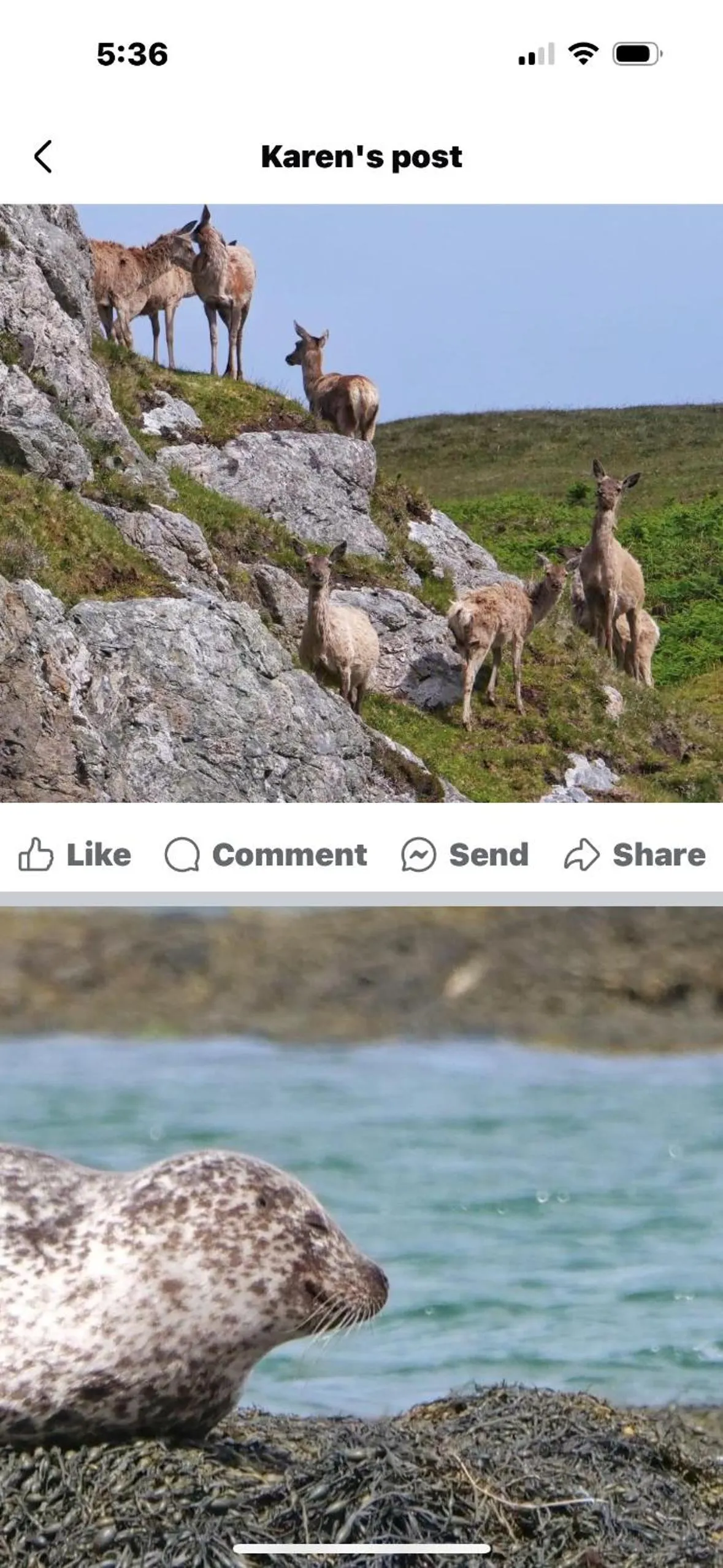 The Fisherman's Snug self catering North Uist