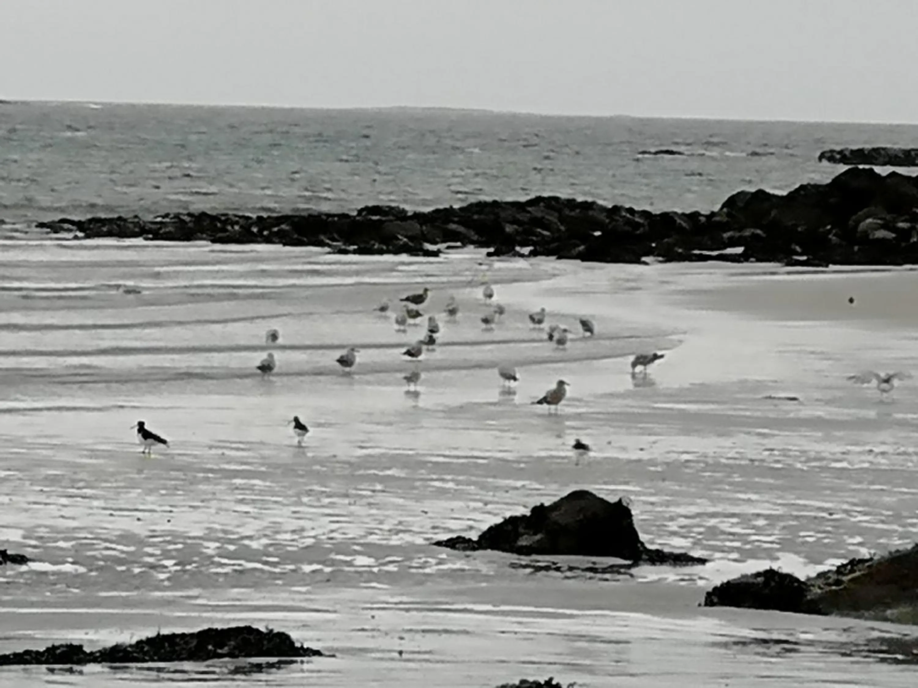 The Fisherman's Snug self catering North Uist