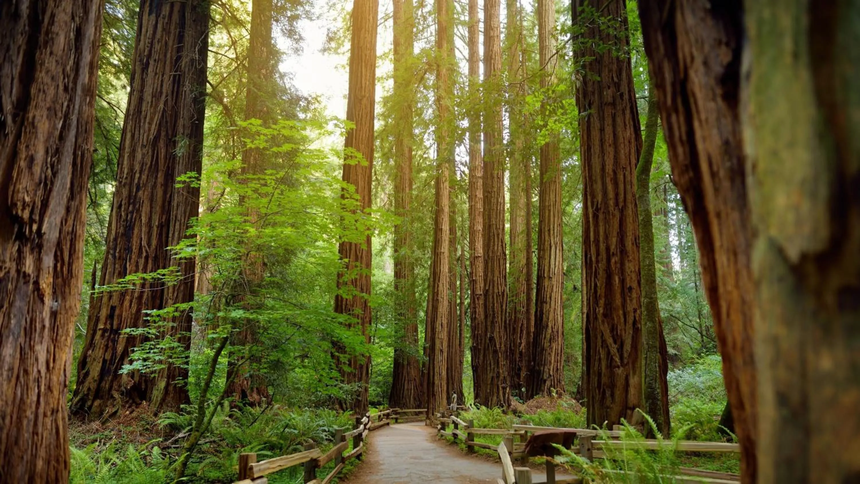 Nearby landmark in The Bayshore Hotel San Francisco Airport - Burlingame