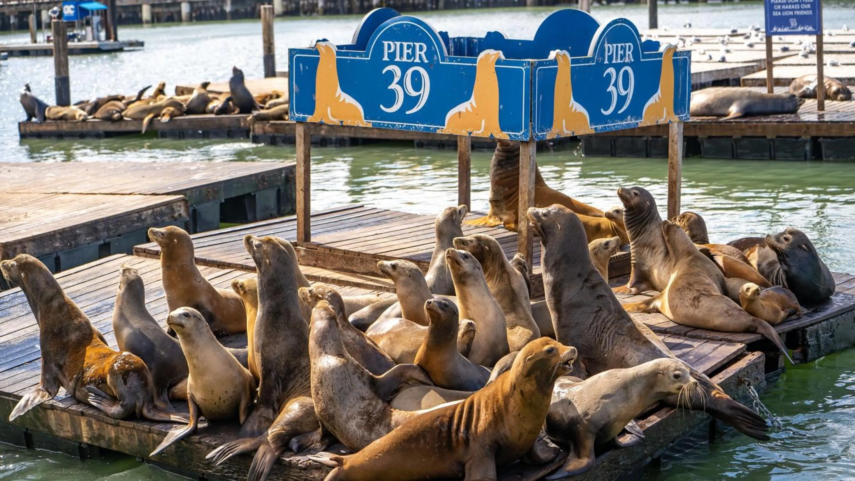 Nearby landmark in The Bayshore Hotel San Francisco Airport - Burlingame
