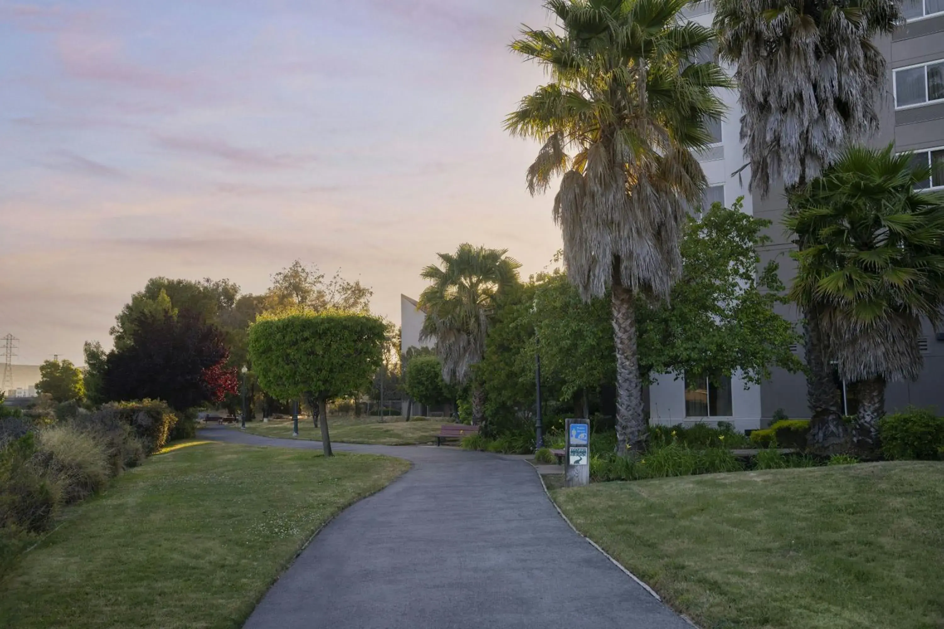 View (from property/room) in The Bayshore Hotel San Francisco Airport - Burlingame View (from property/room) in The Bayshore Hotel San Francisco Airport - Burlingame