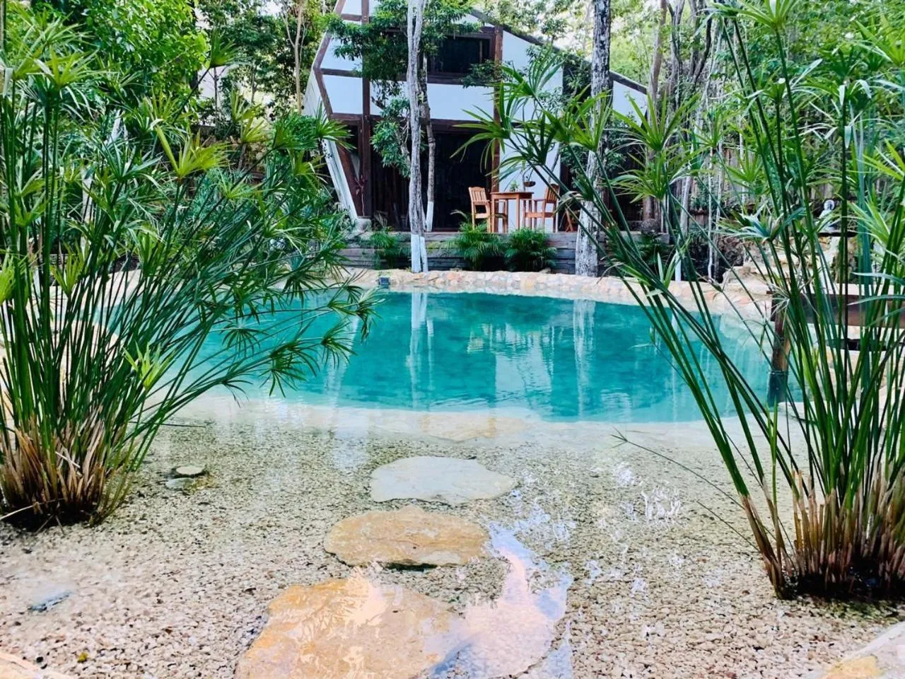 Day in Nahouse Jungle Lodges