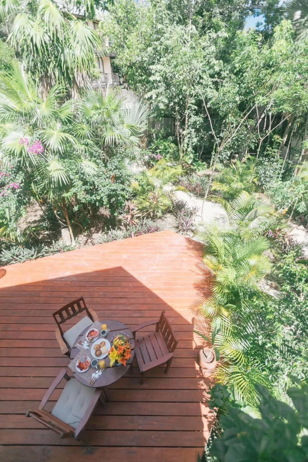 Garden view in Nahouse Jungle Lodges