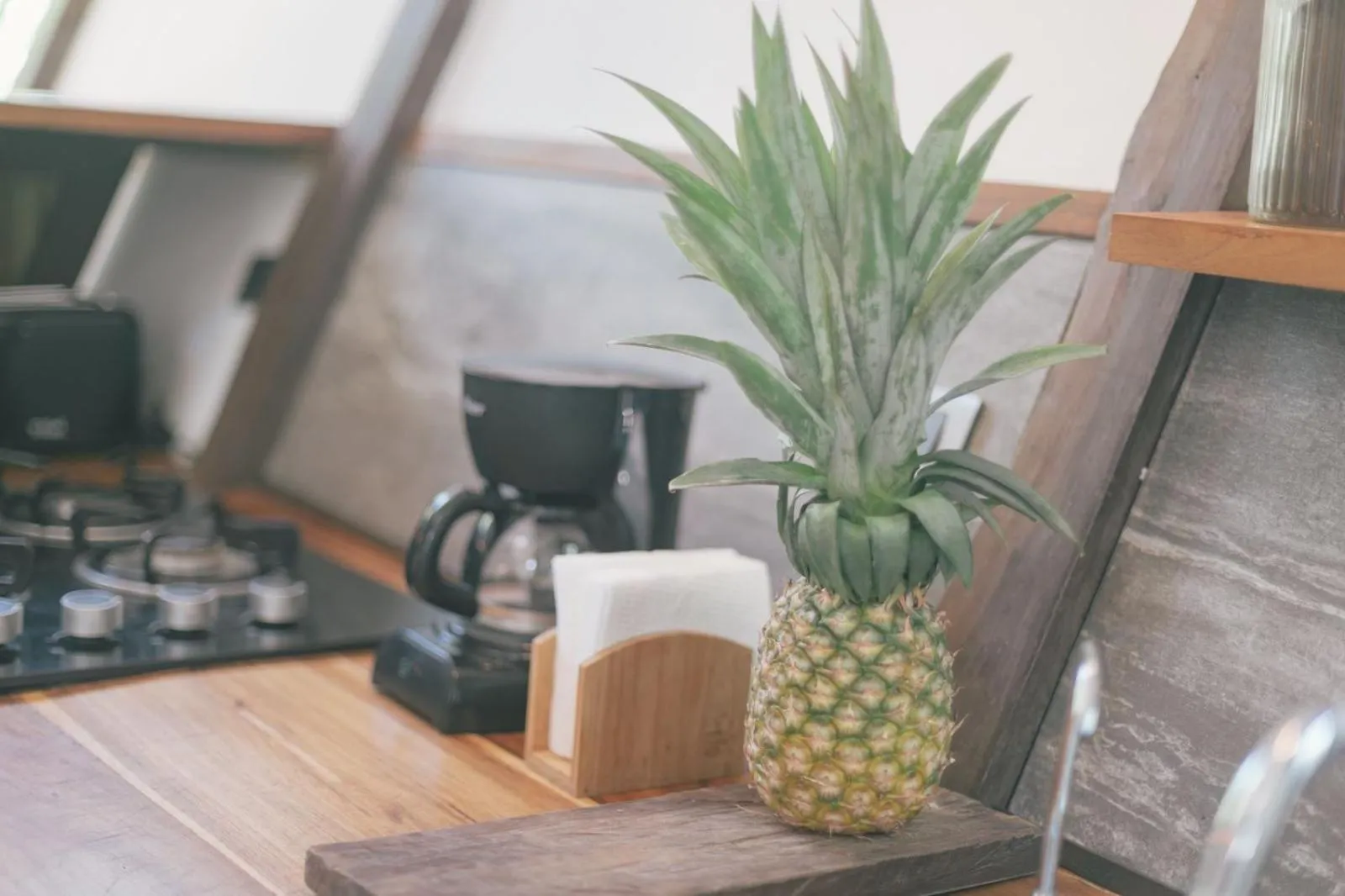 Nahouse Jungle Lodges