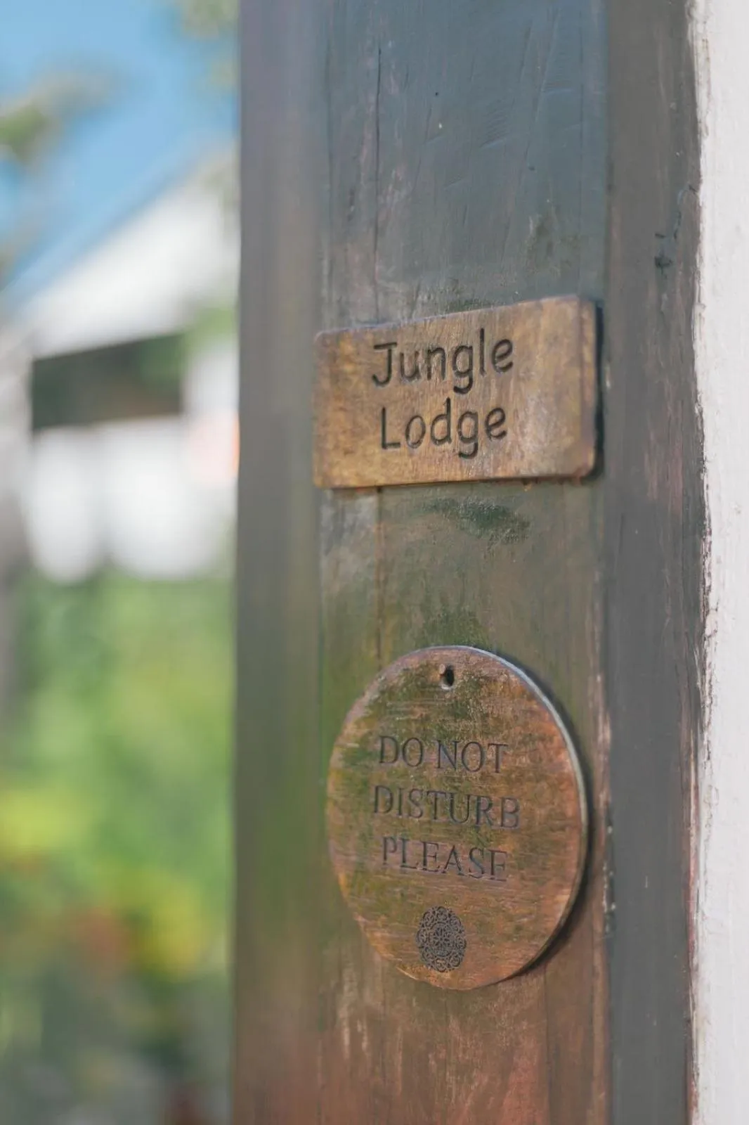 Nahouse Jungle Lodges