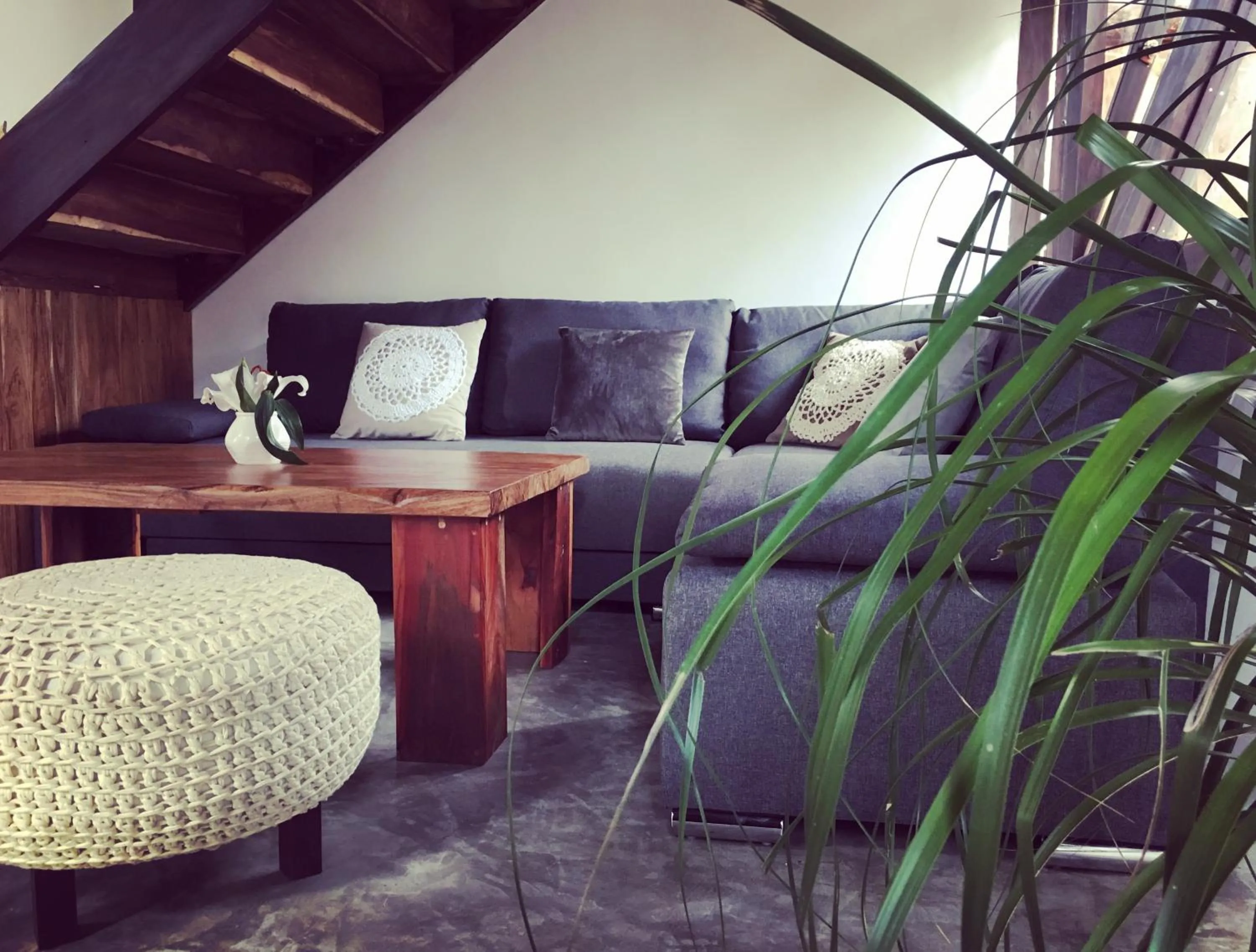 Living room in Nahouse Jungle Lodges