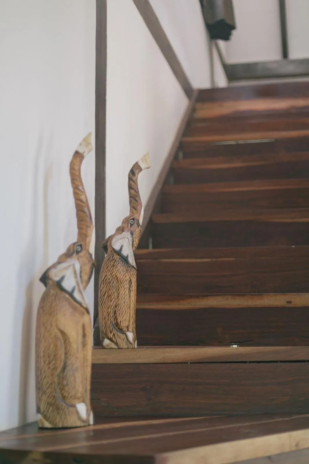 Nahouse Jungle Lodges