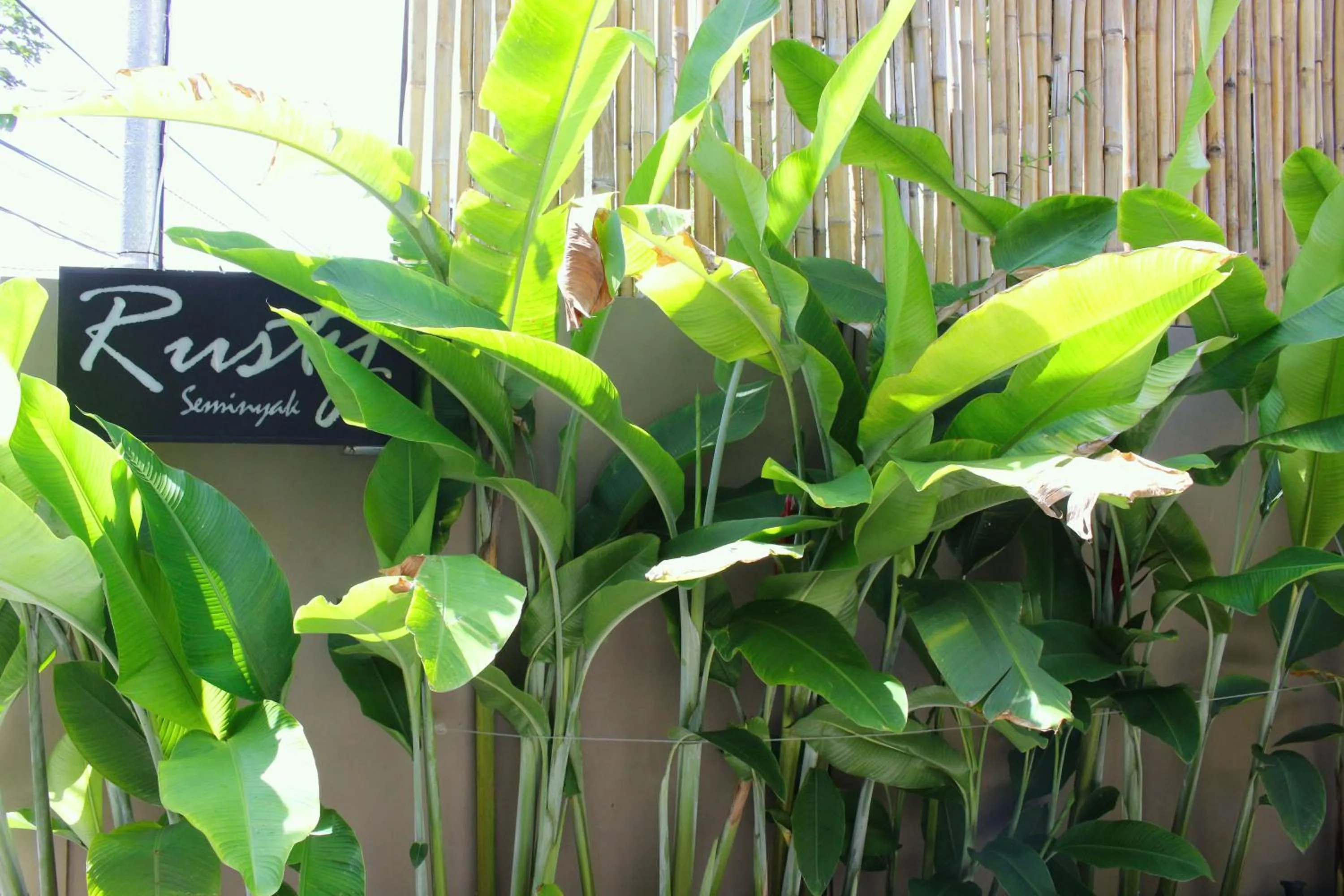 On site in Rusty Seminyak