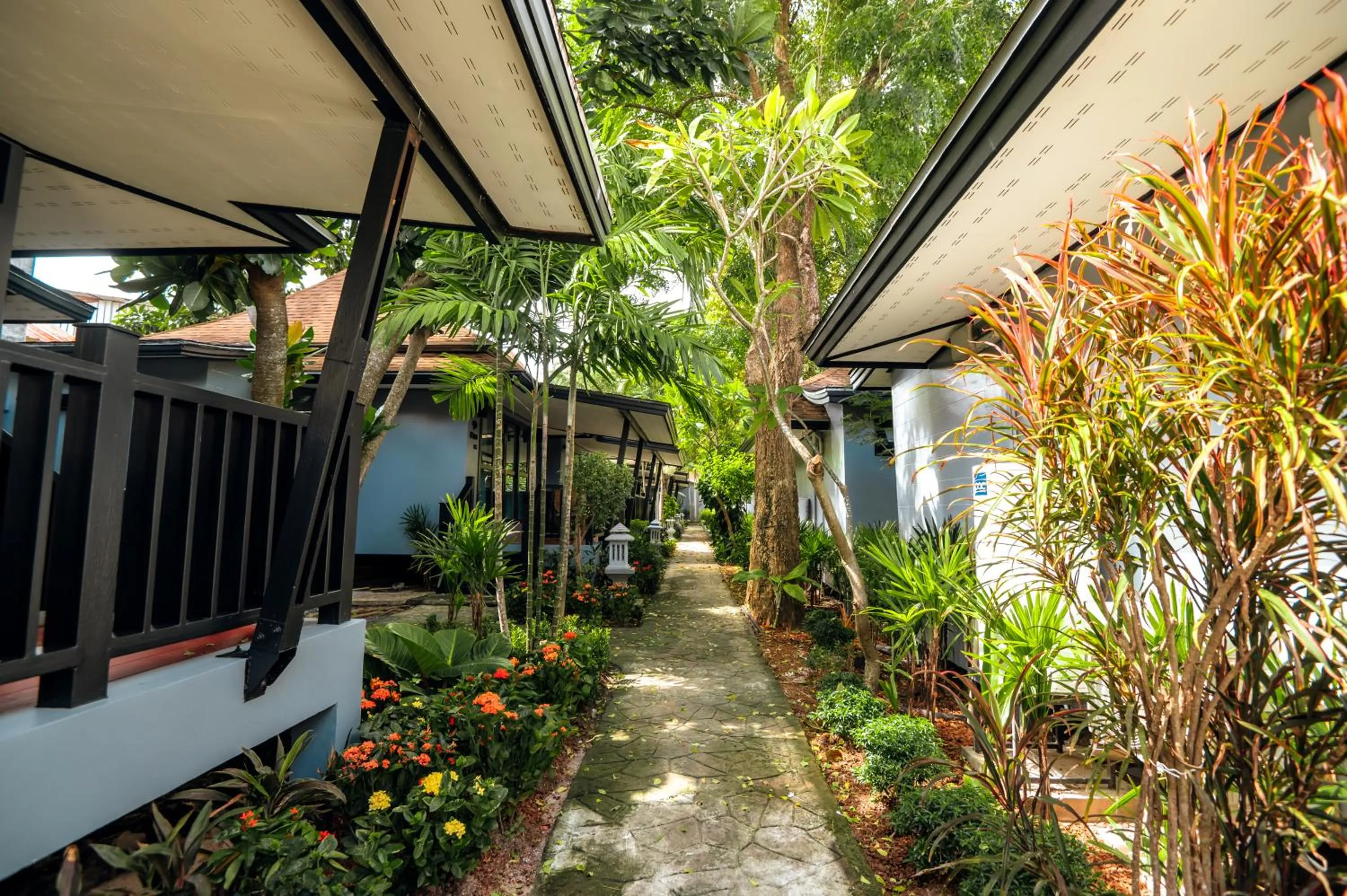 Garden view in Ibiza House Phi Phi