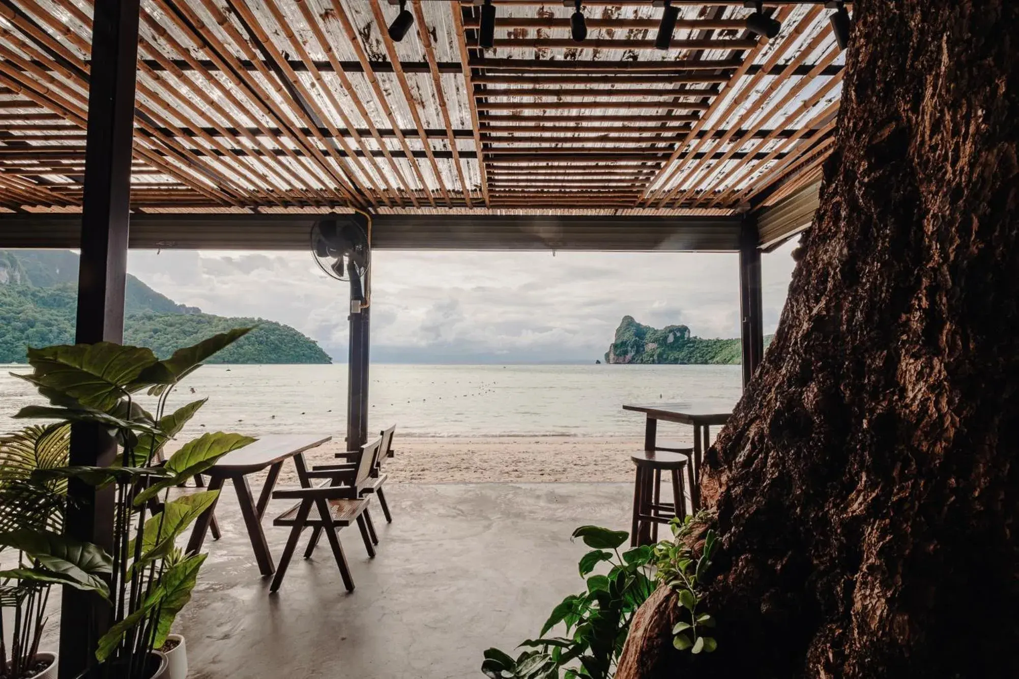 Restaurant/places to eat in Ibiza House Phi Phi Restaurant/places to eat in Ibiza House Phi Phi