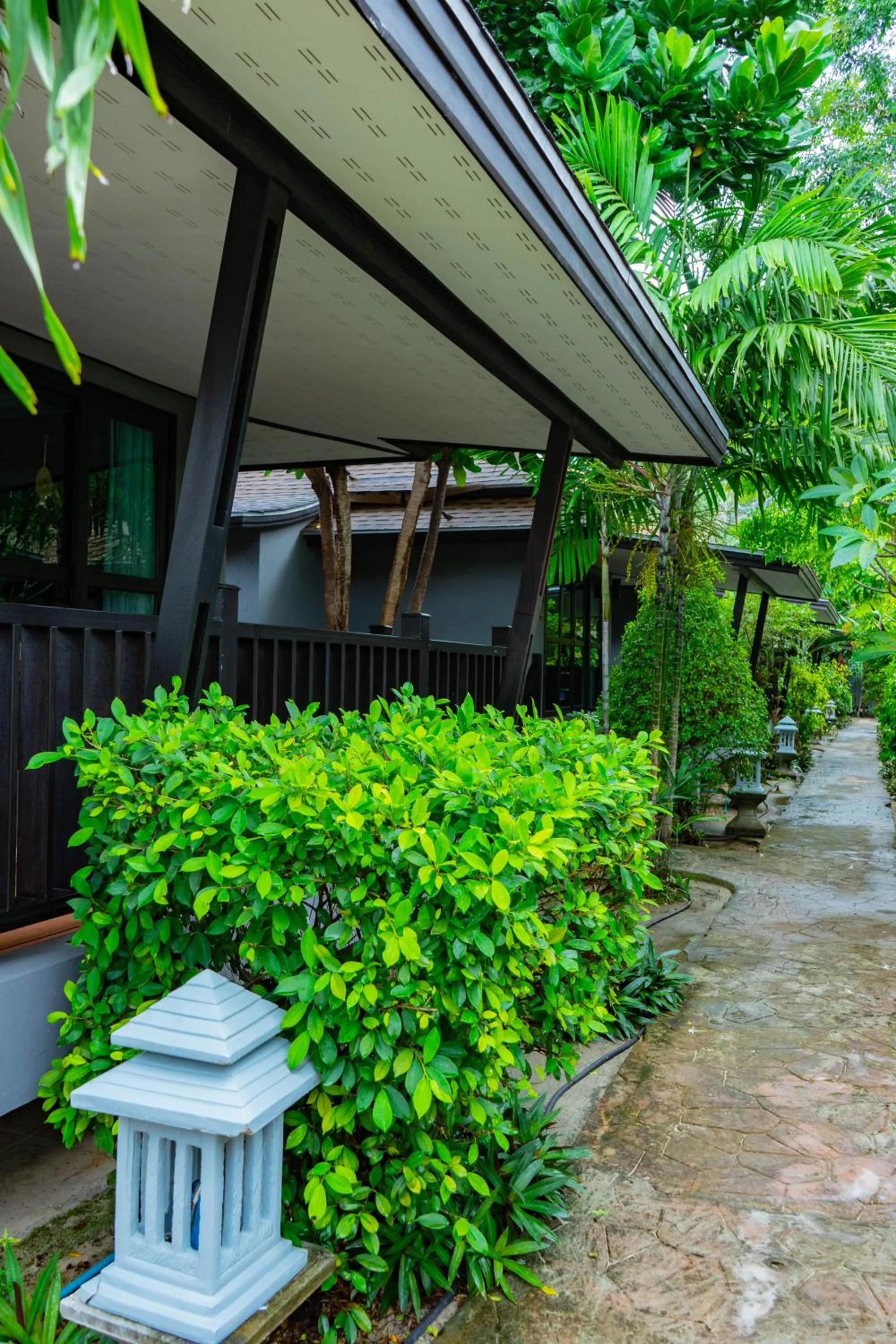 Garden in Ibiza House Phi Phi