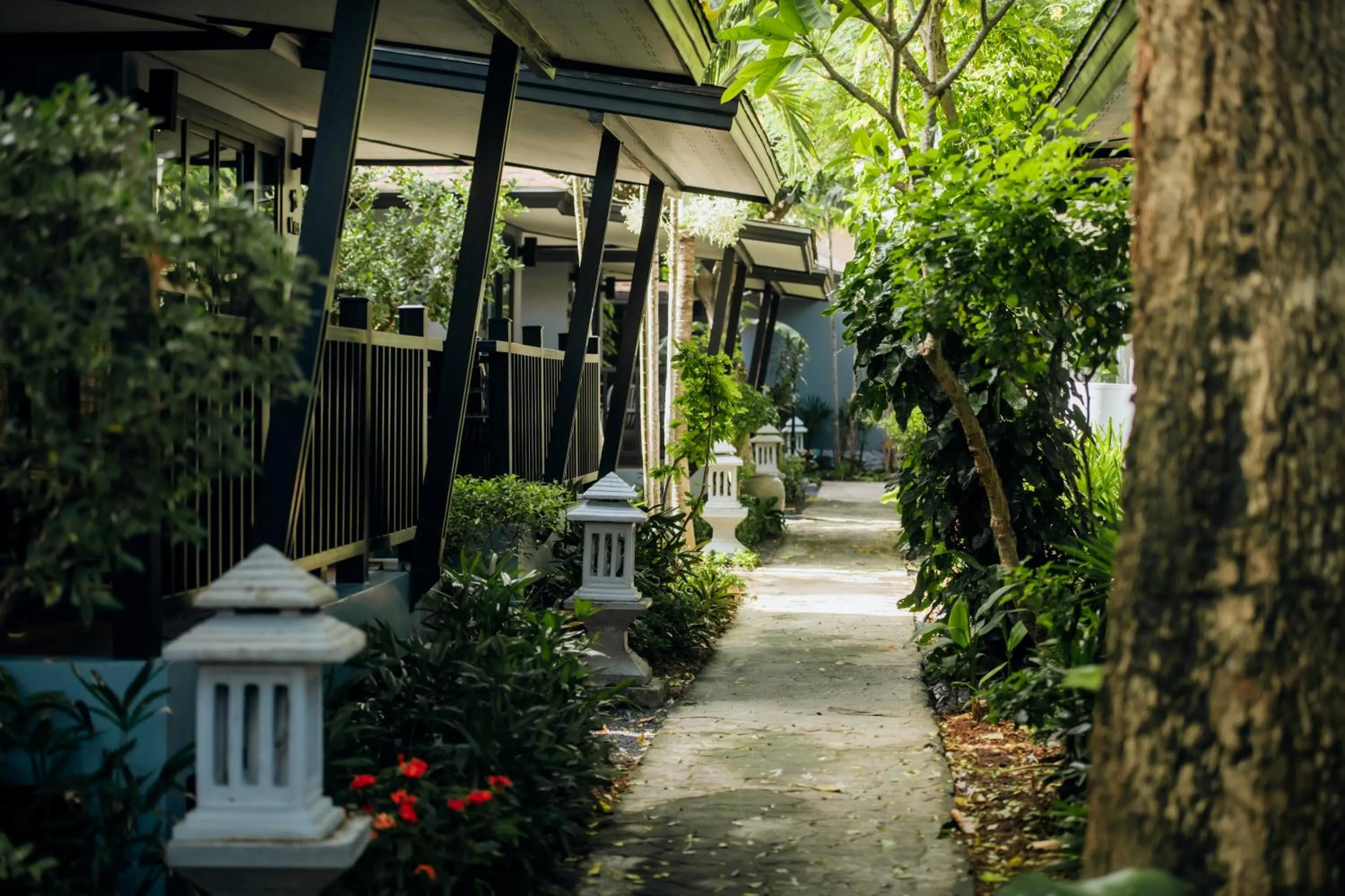 Garden in Ibiza House Phi Phi