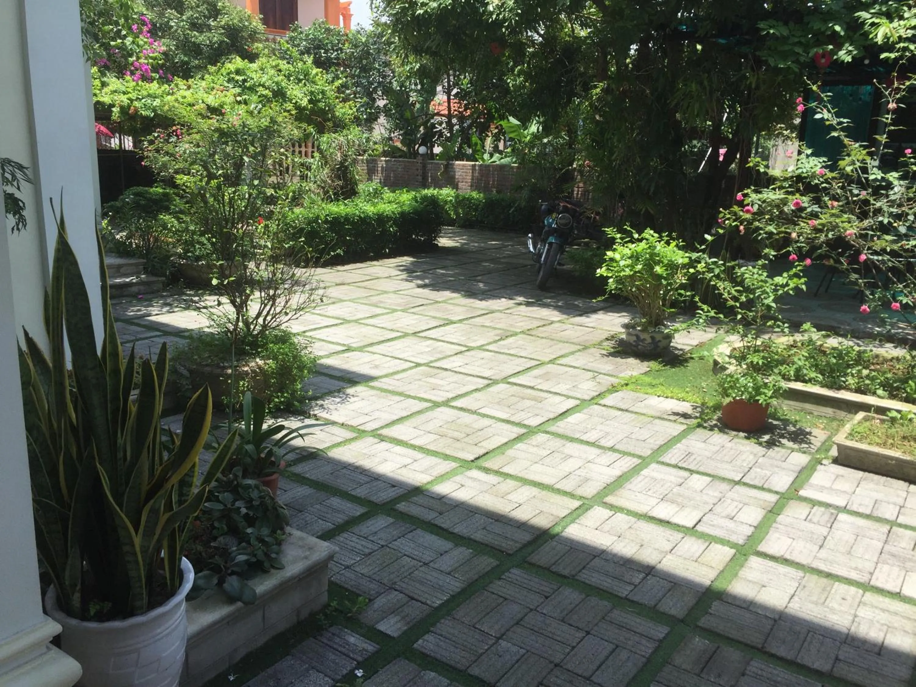 Garden view in Tam Coc Minh Gia Homestay