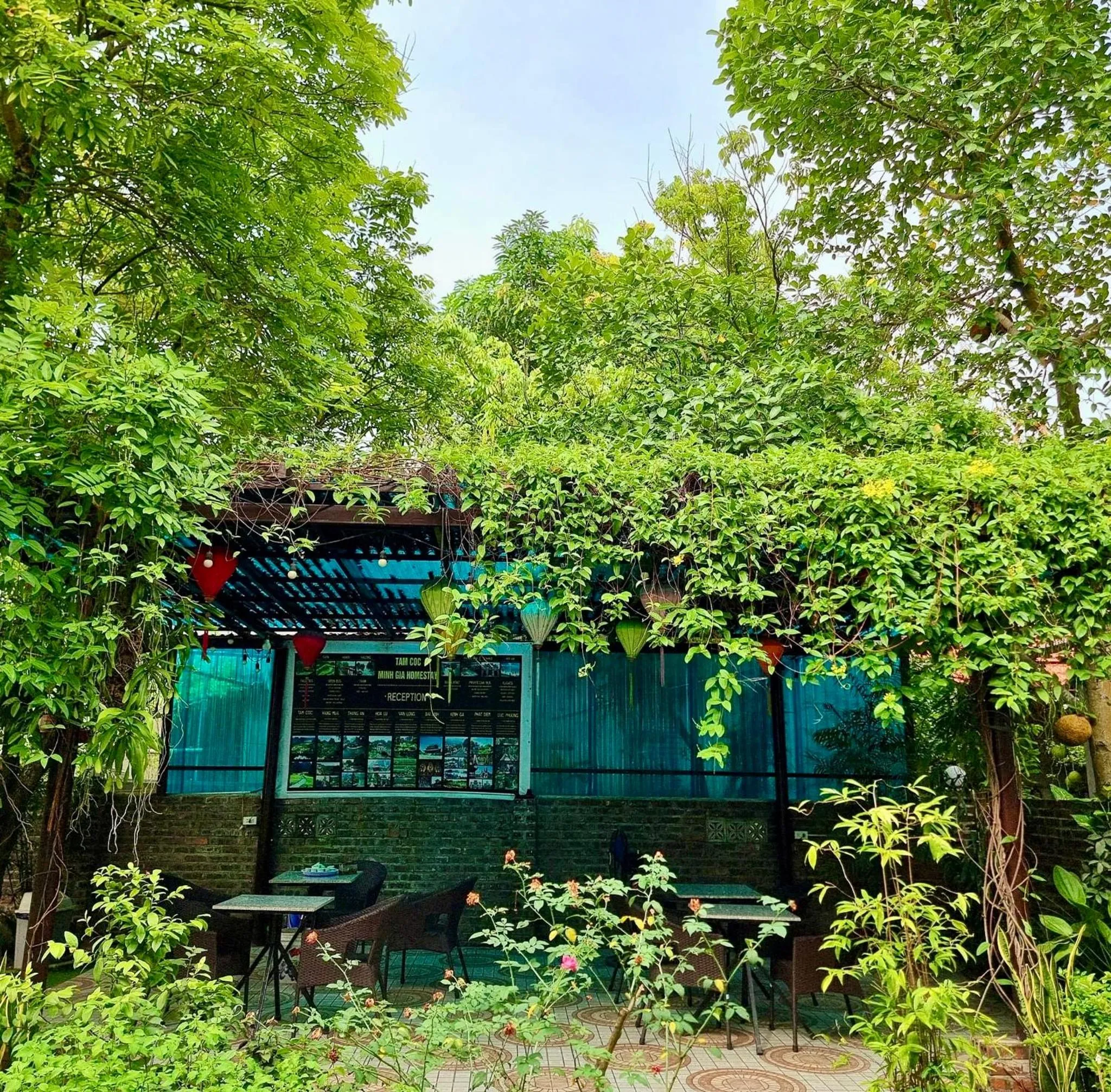 Day in Tam Coc Minh Gia Homestay