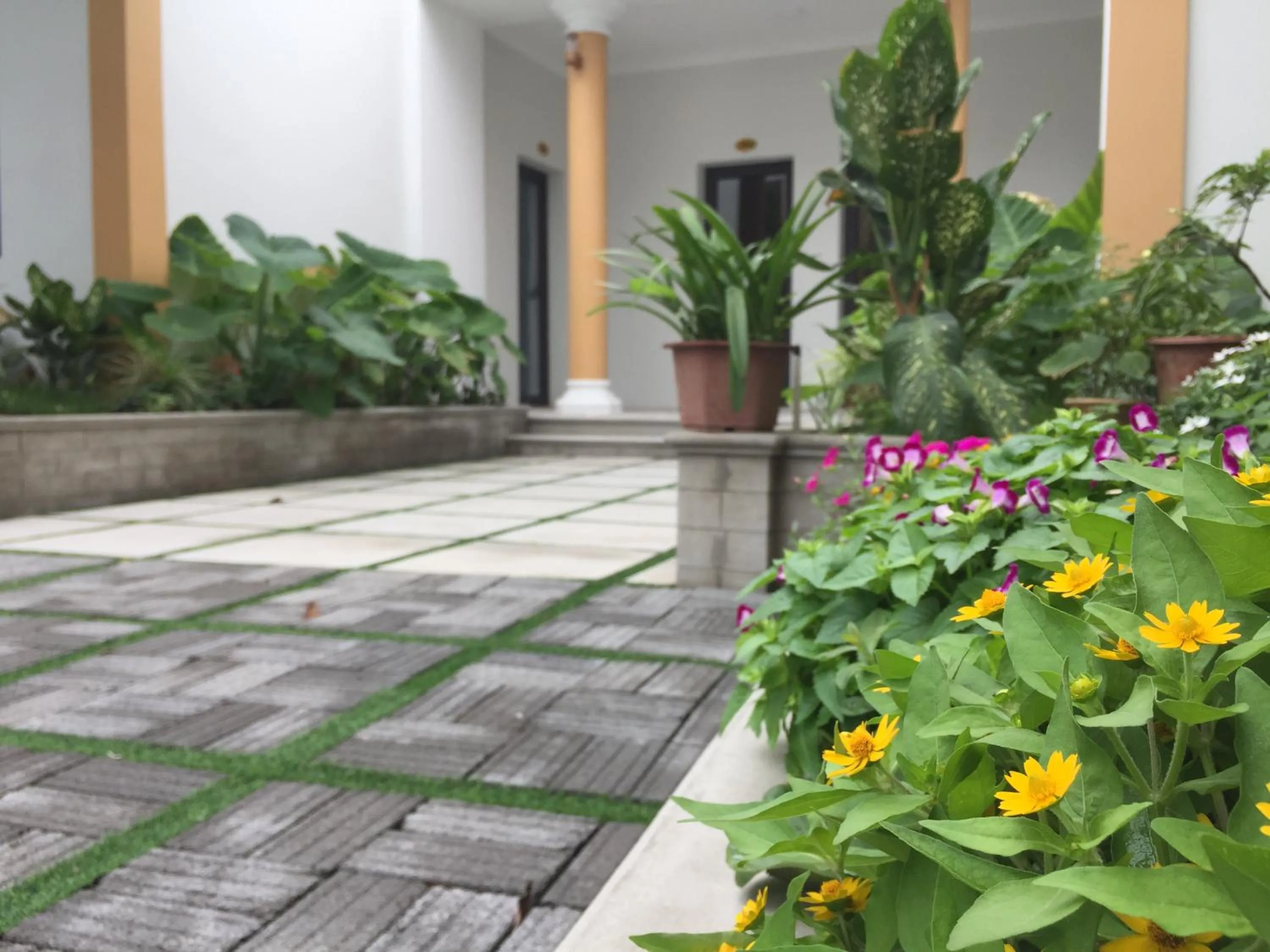 Patio in Tam Coc Minh Gia Homestay