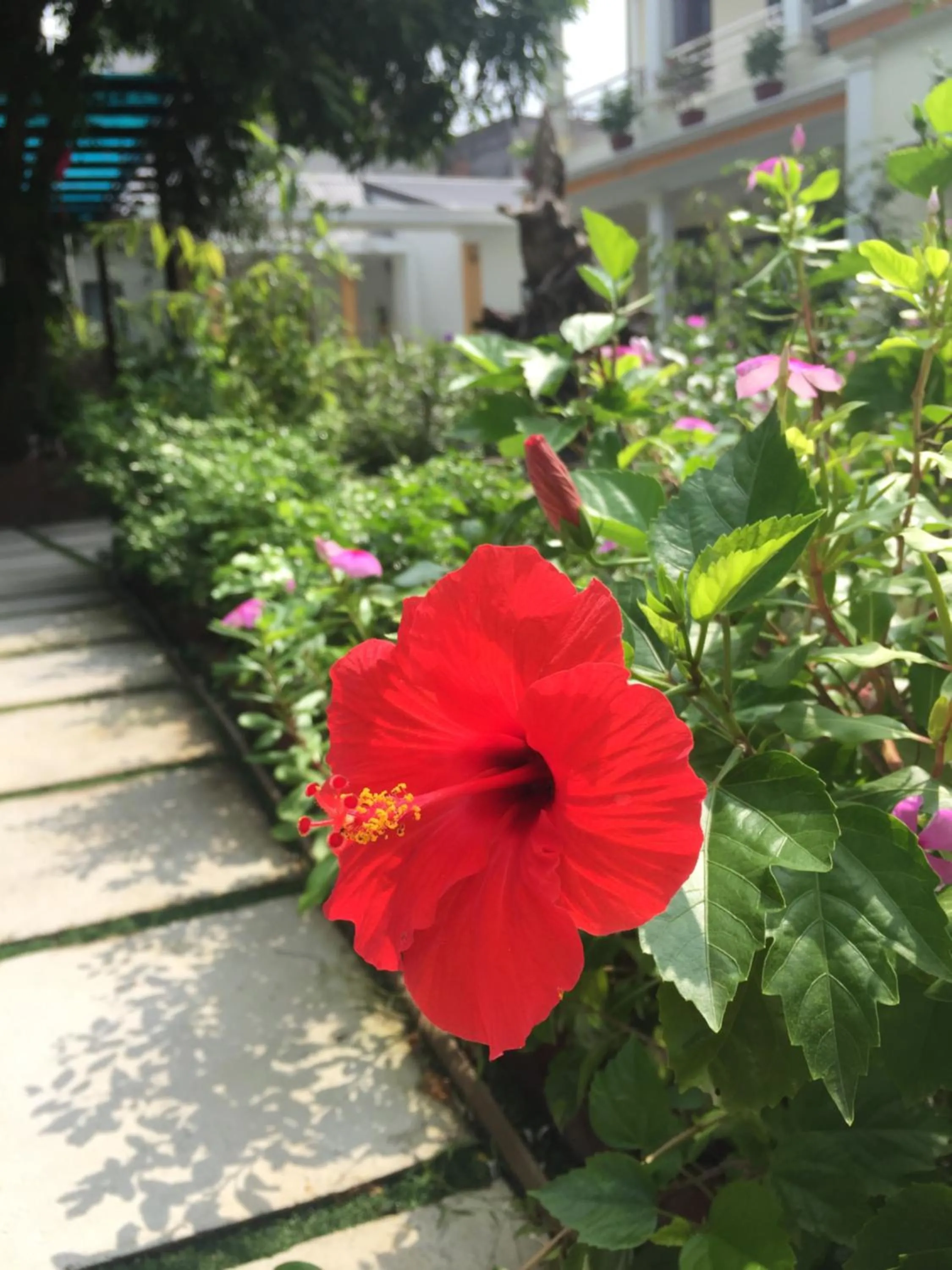 Garden in Tam Coc Minh Gia Homestay