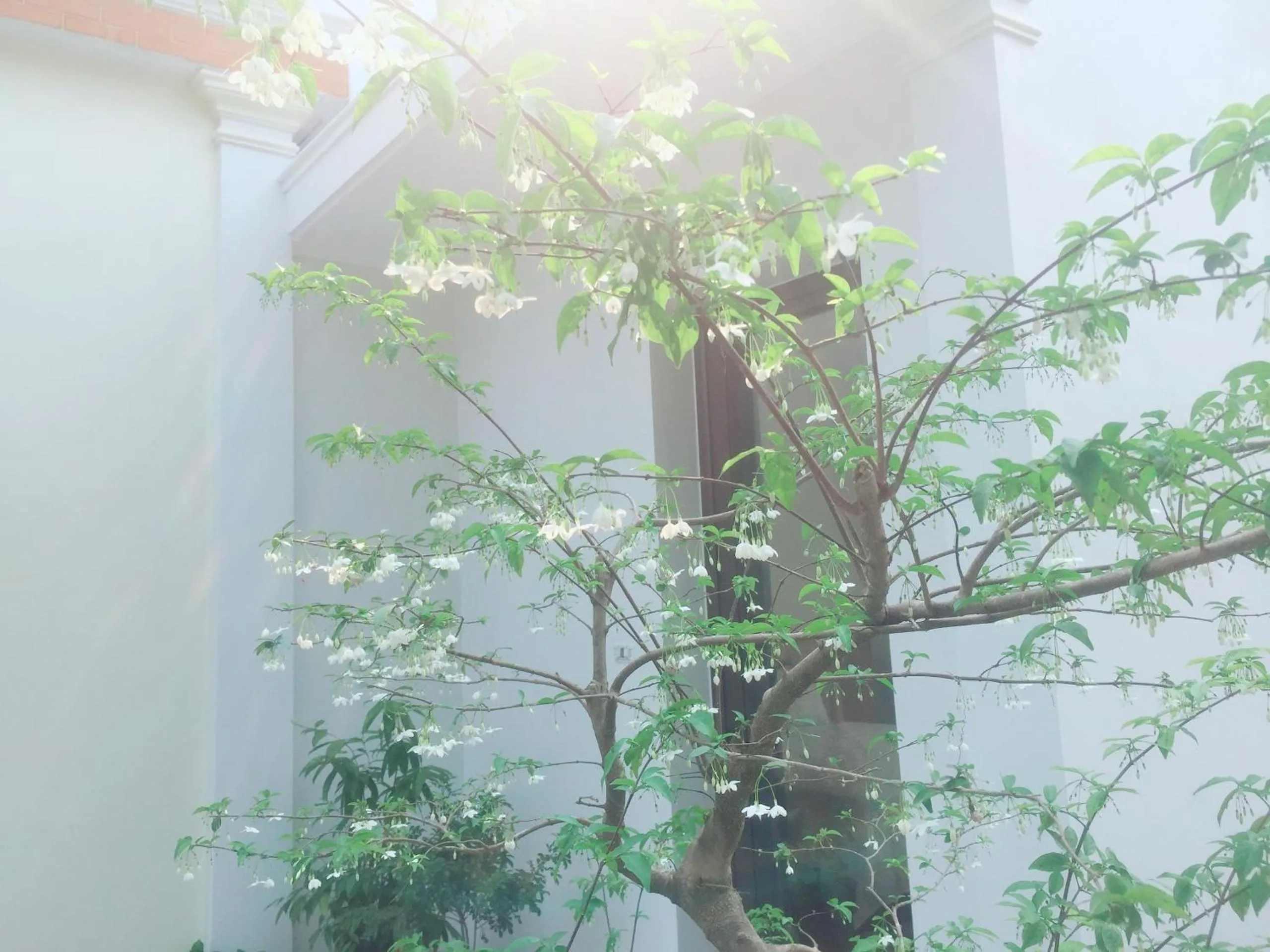 Garden in Tam Coc Minh Gia Homestay