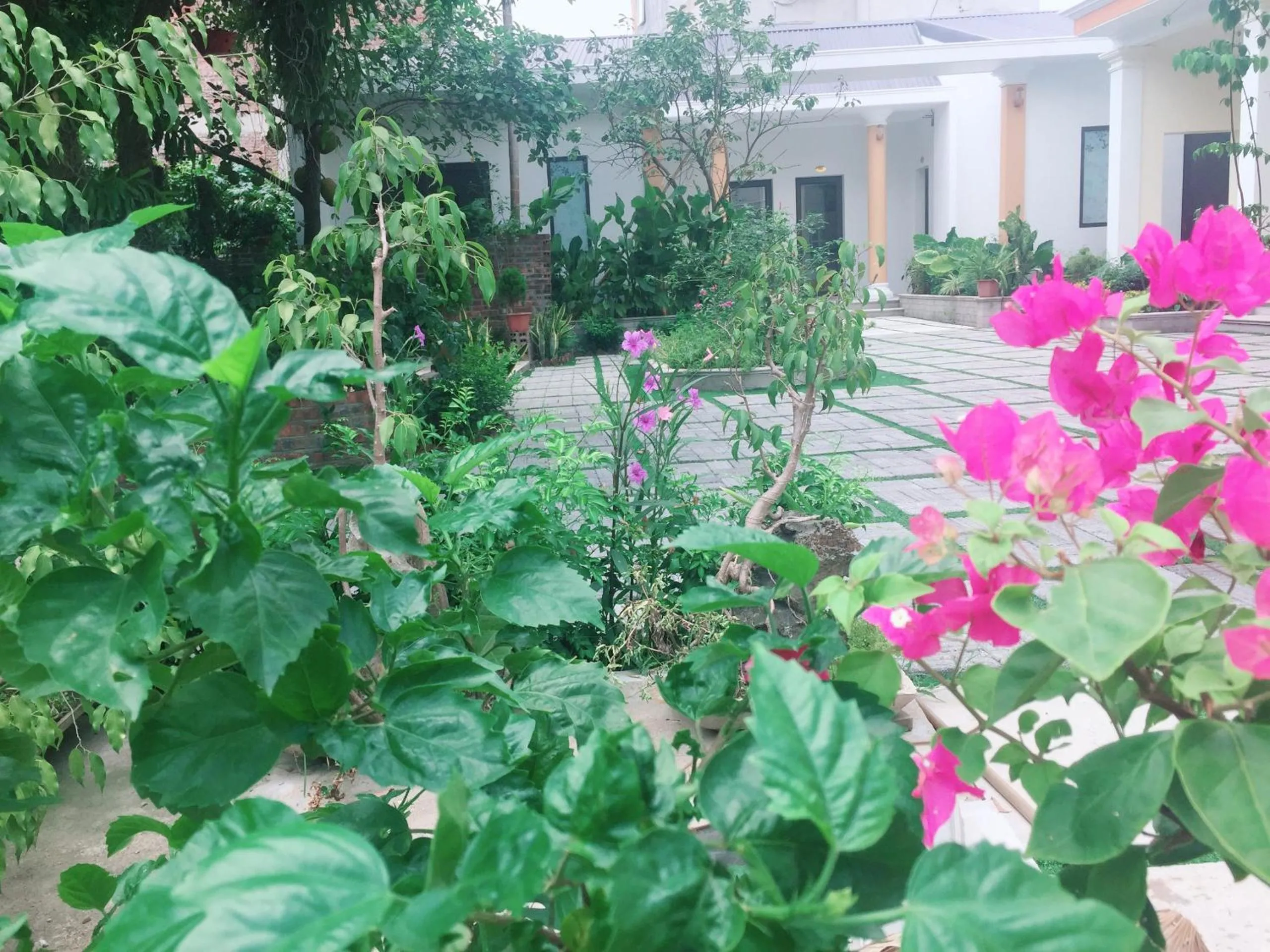 Garden in Tam Coc Minh Gia Homestay