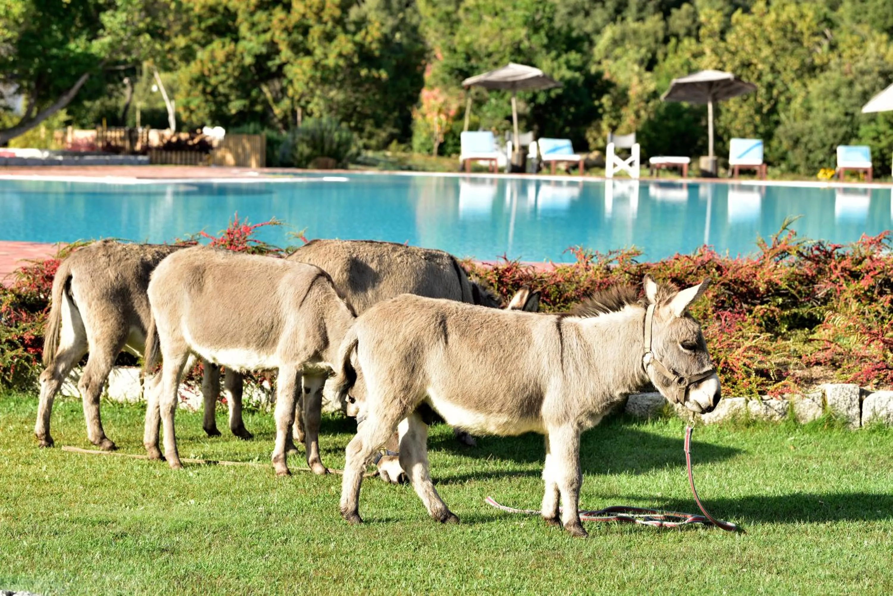 Day in HOTEL ORLANDO Sardegna