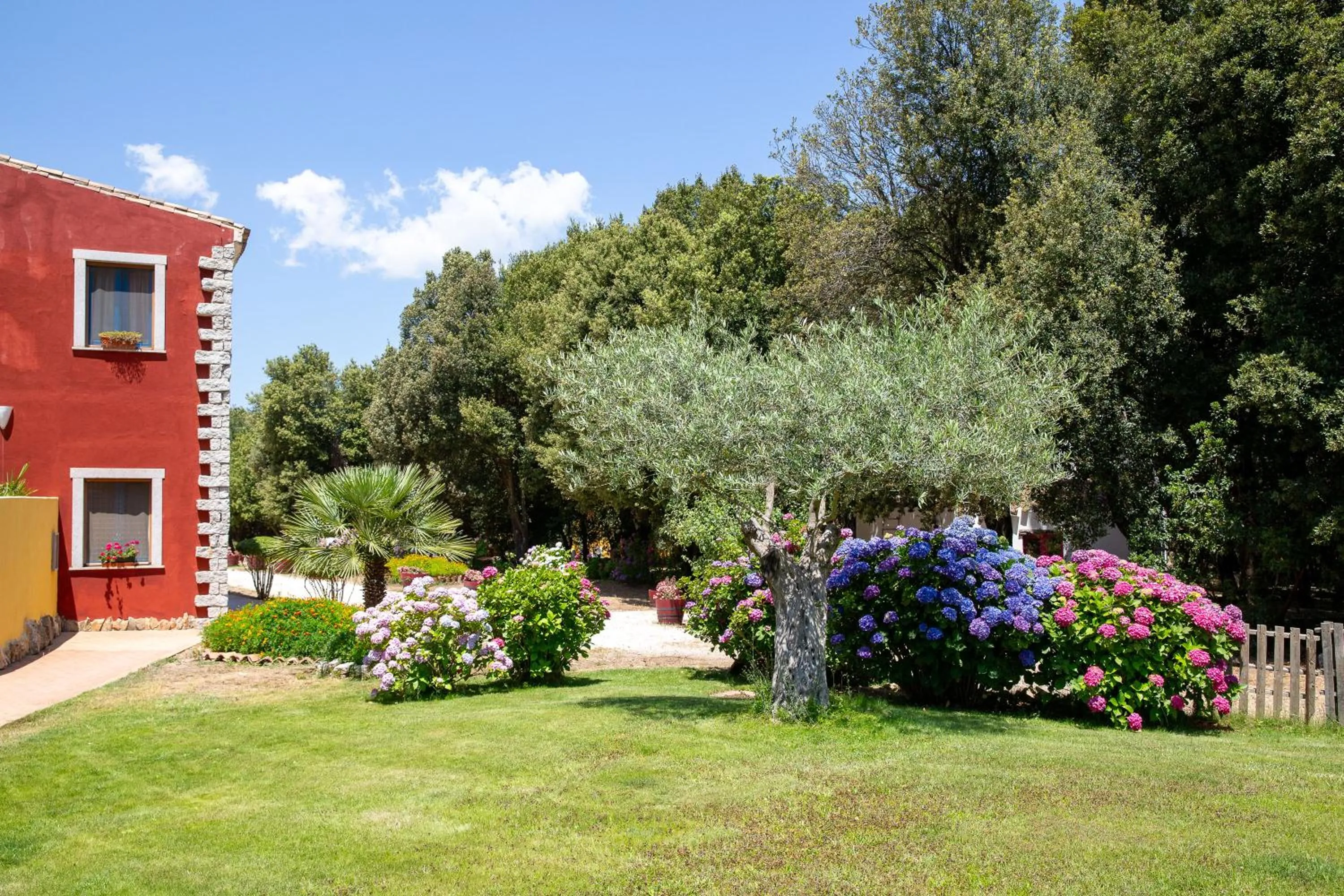 Garden in HOTEL ORLANDO Sardegna
