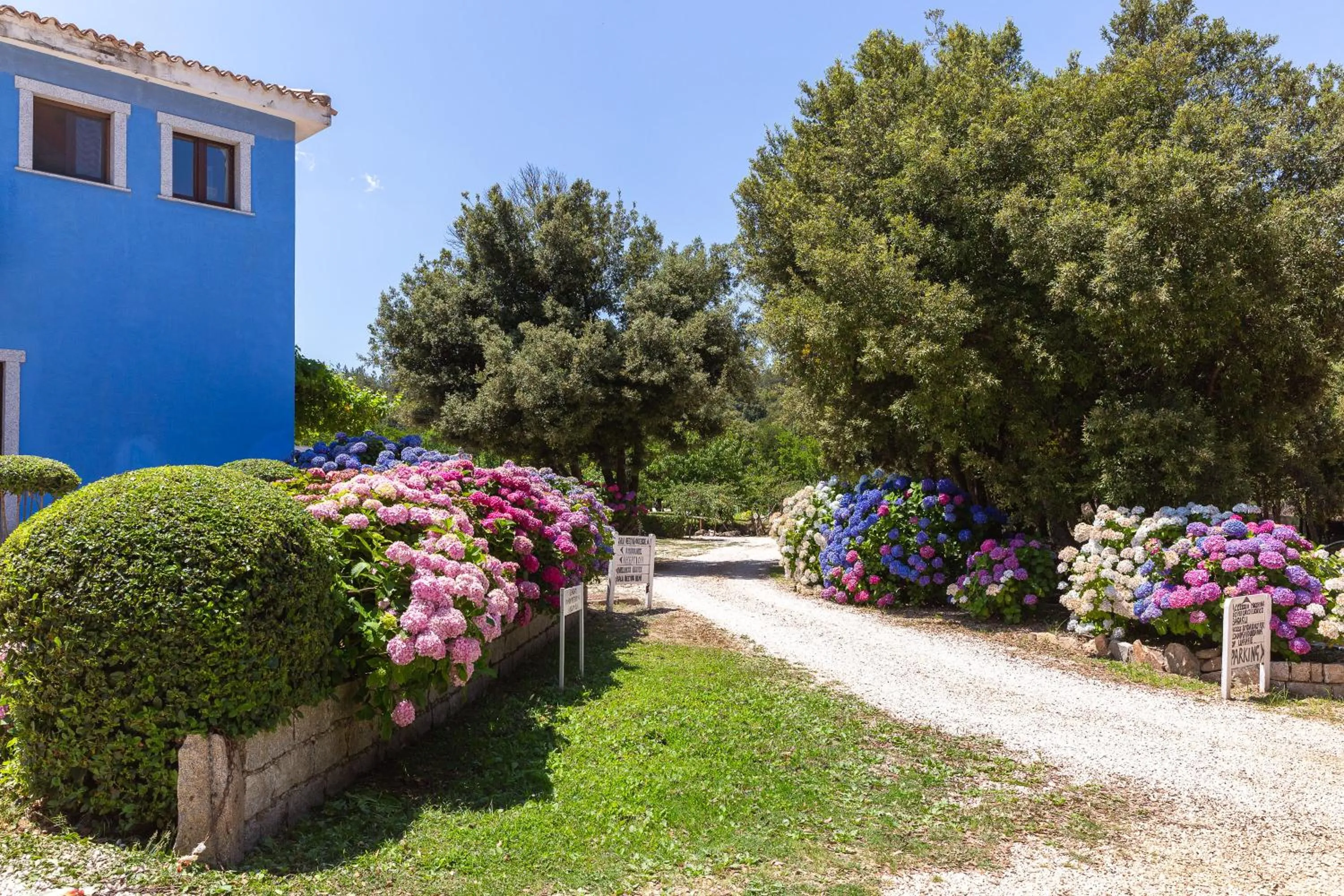 Garden in HOTEL ORLANDO Sardegna