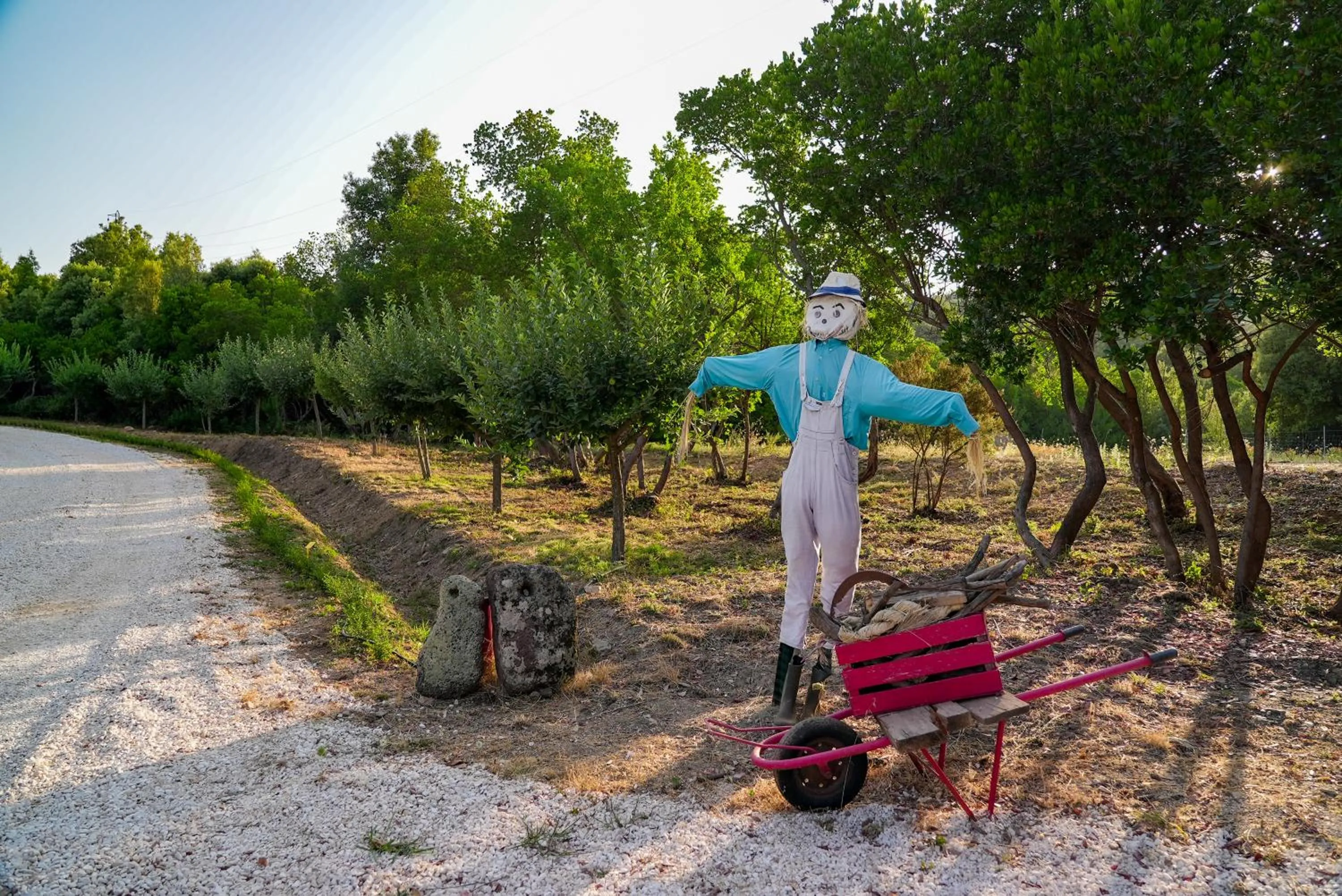 Garden in HOTEL ORLANDO Sardegna