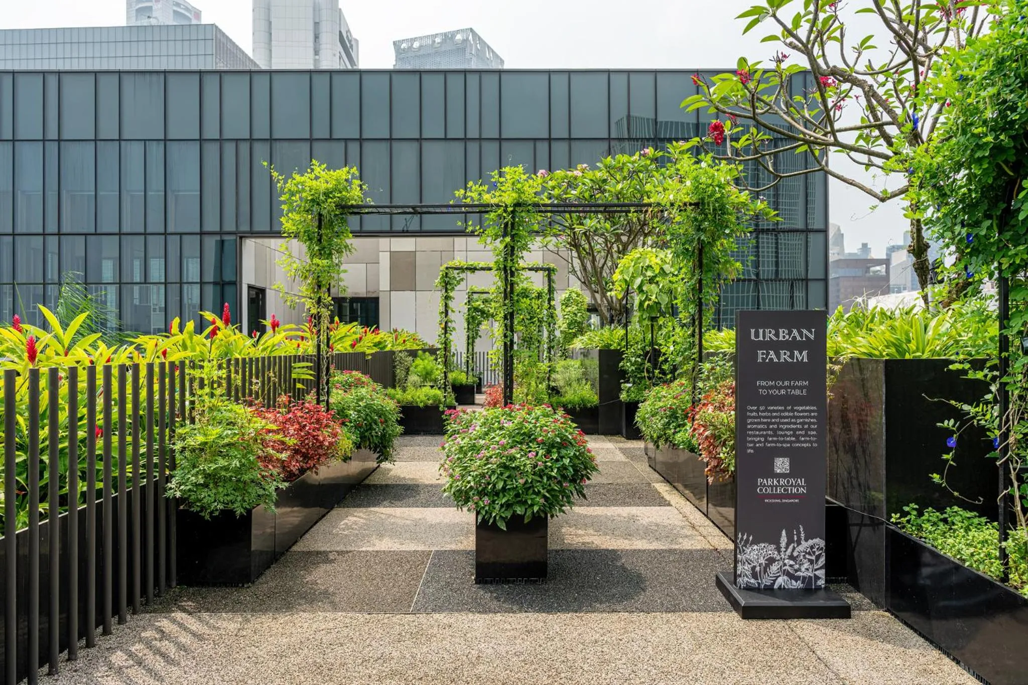 Garden in PARKROYAL COLLECTION Pickering, Singapore