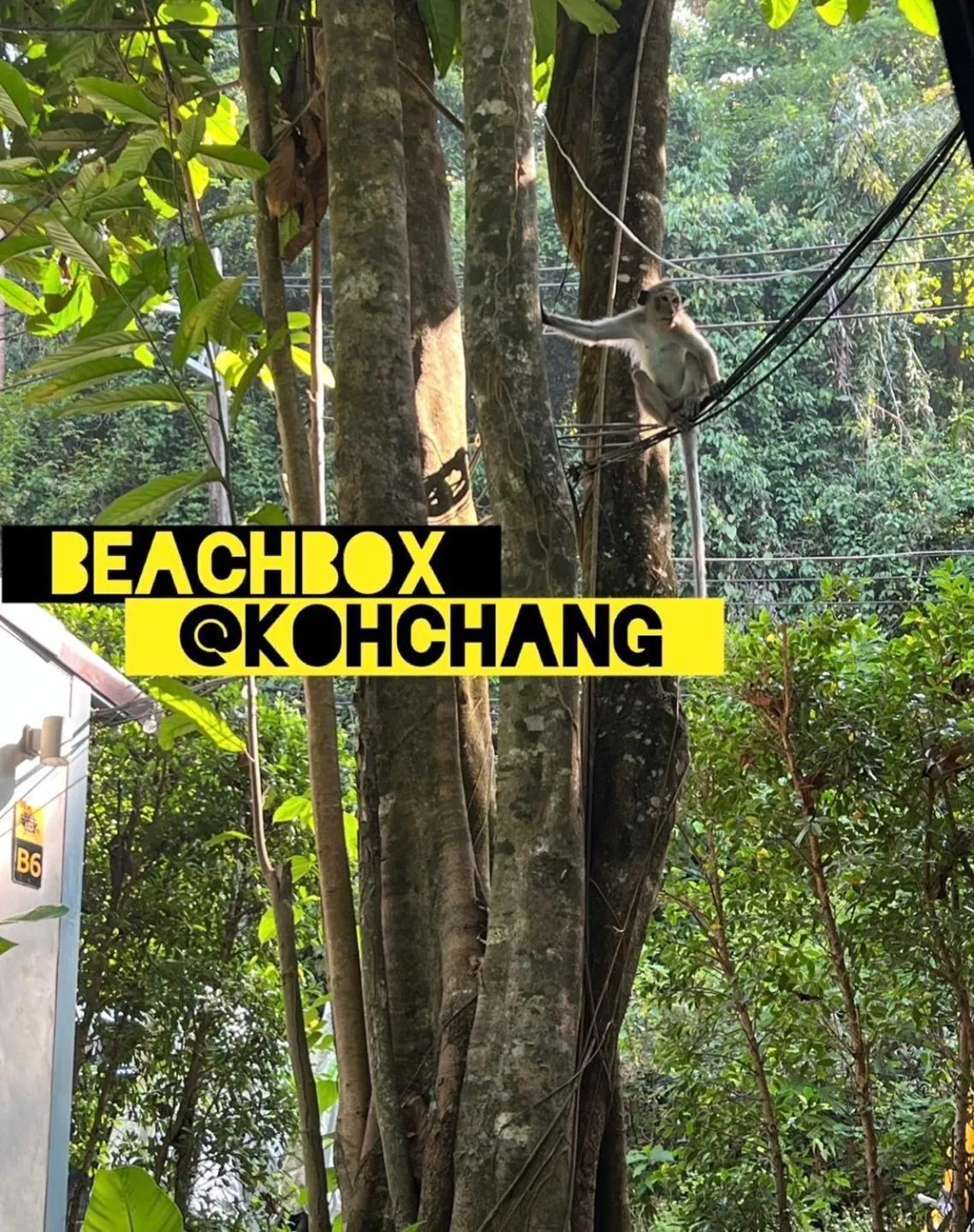 BeachBox@Koh Сhang