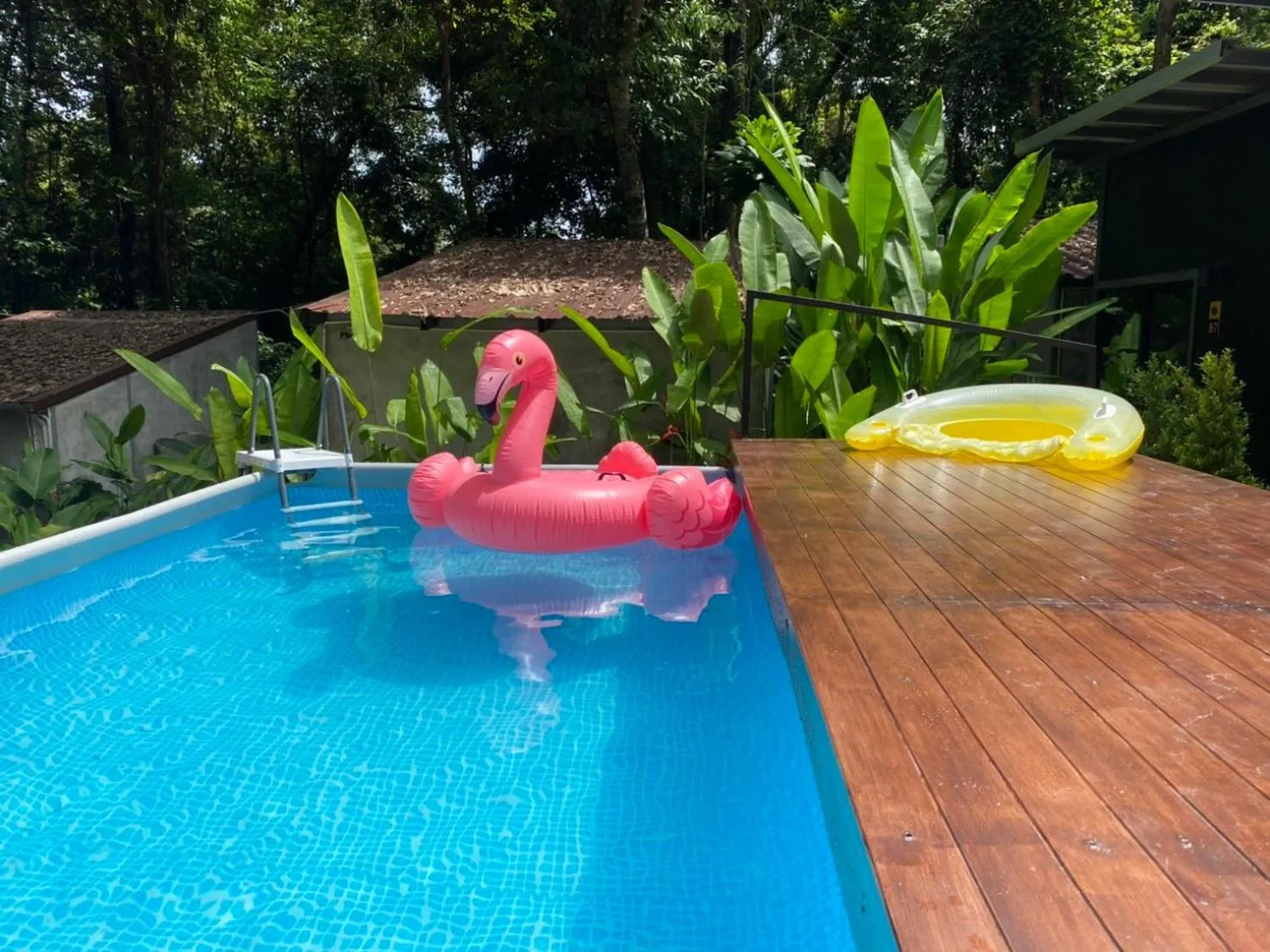 Swimming pool in BeachBox@Koh Сhang