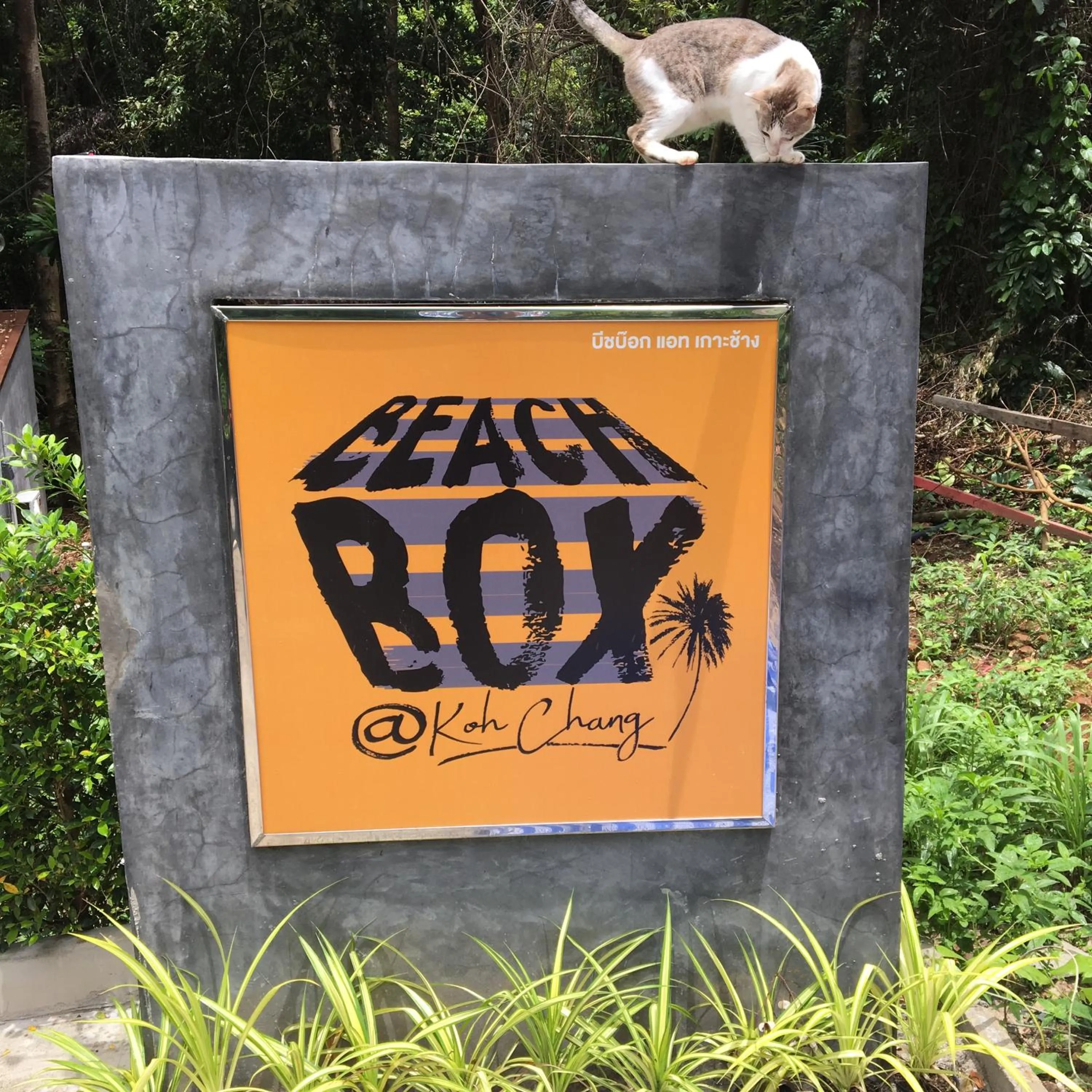 BeachBox@Koh Сhang