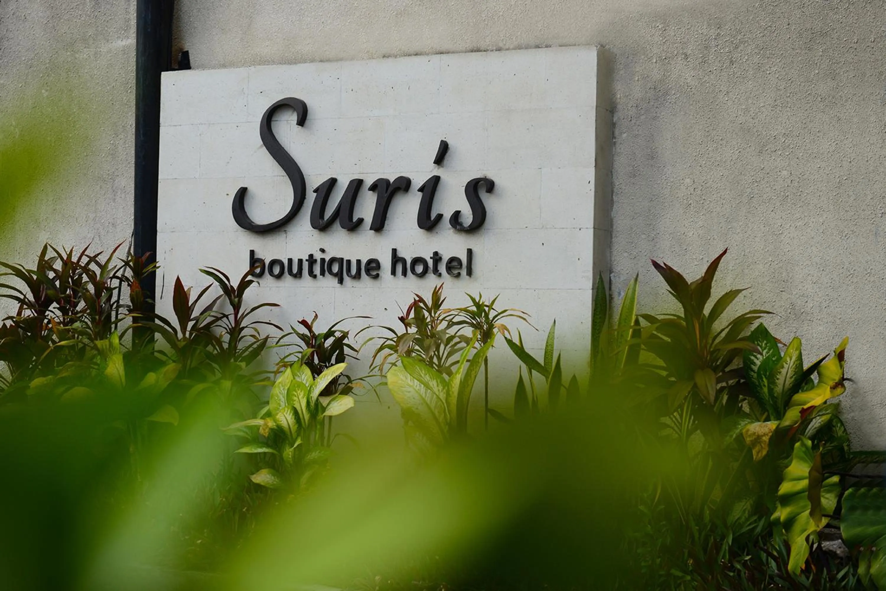 Property logo or sign in Suris Boutique Hotel