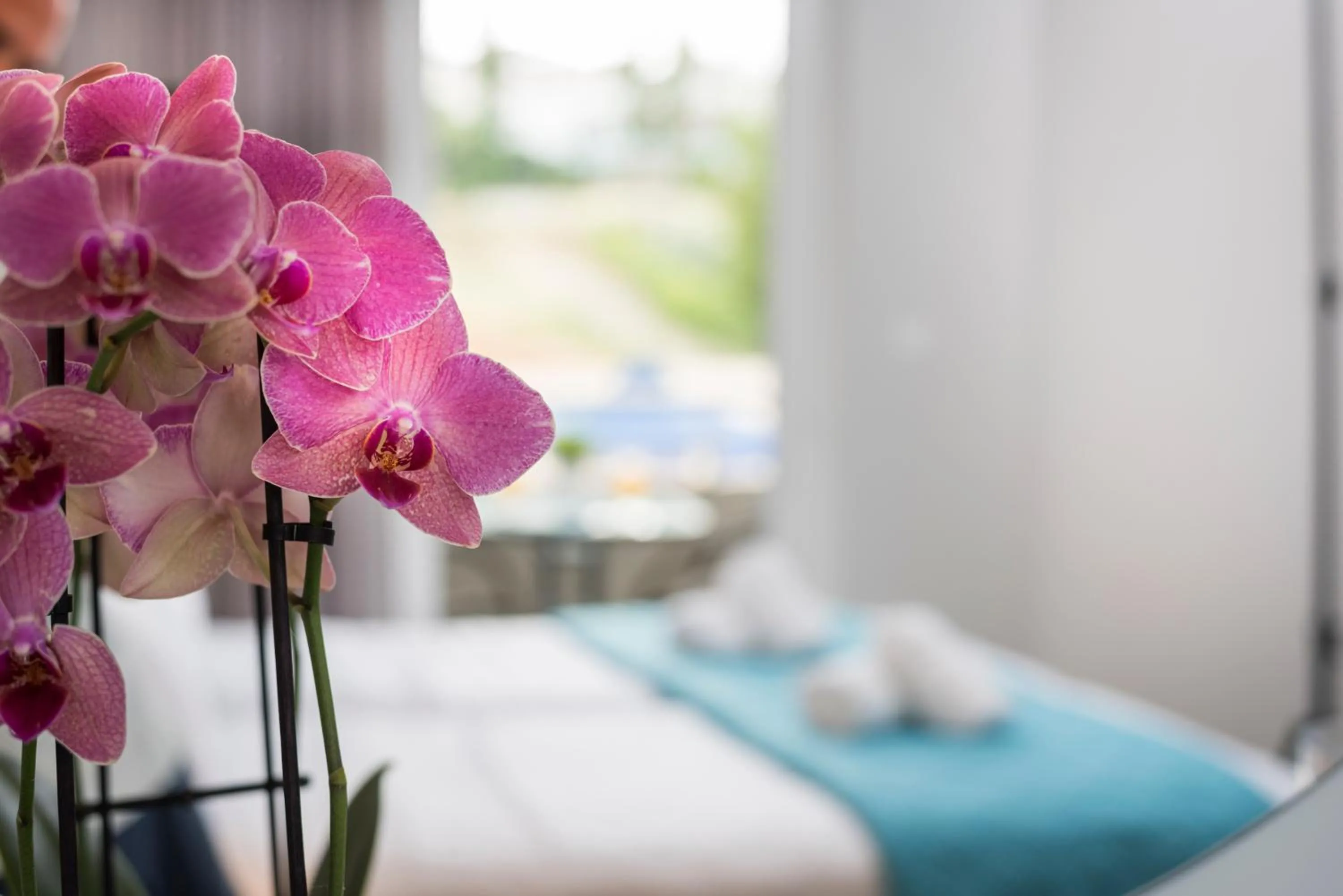 Decorative detail, Bed in IRINI STALOS Apartments