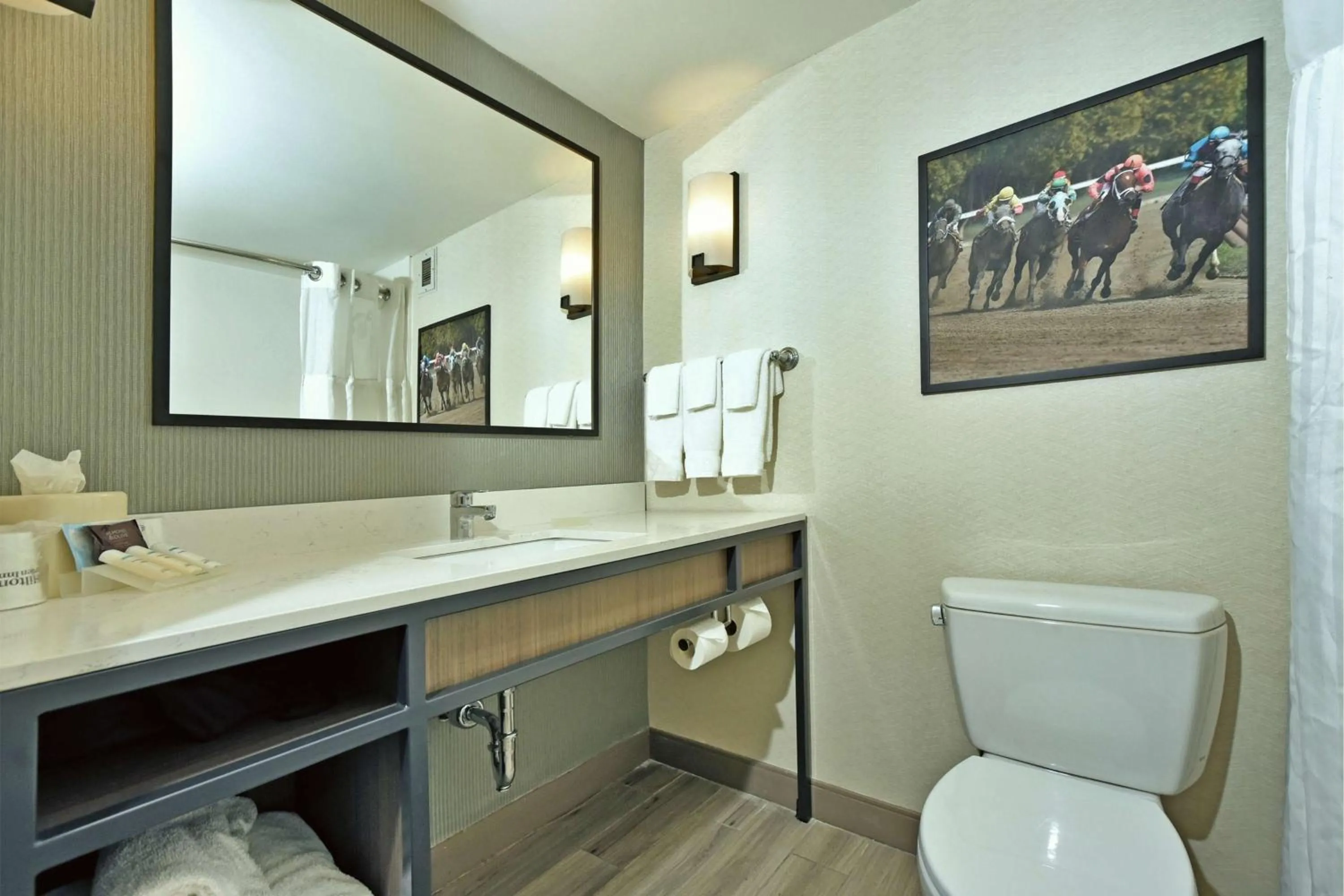 Bathroom in Hilton Garden Inn Saratoga Springs