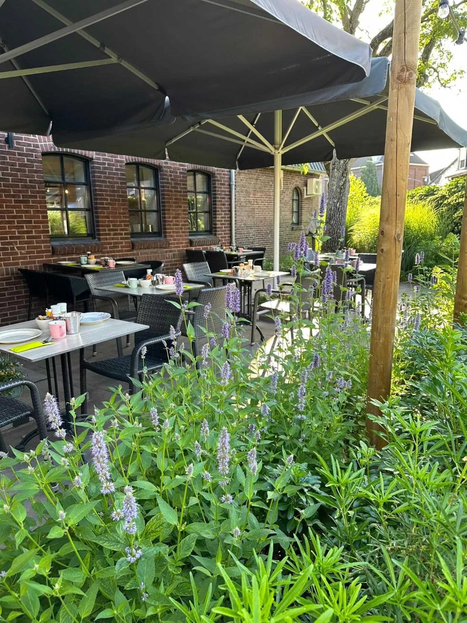 Restaurant/places to eat in Hostellerie Horst