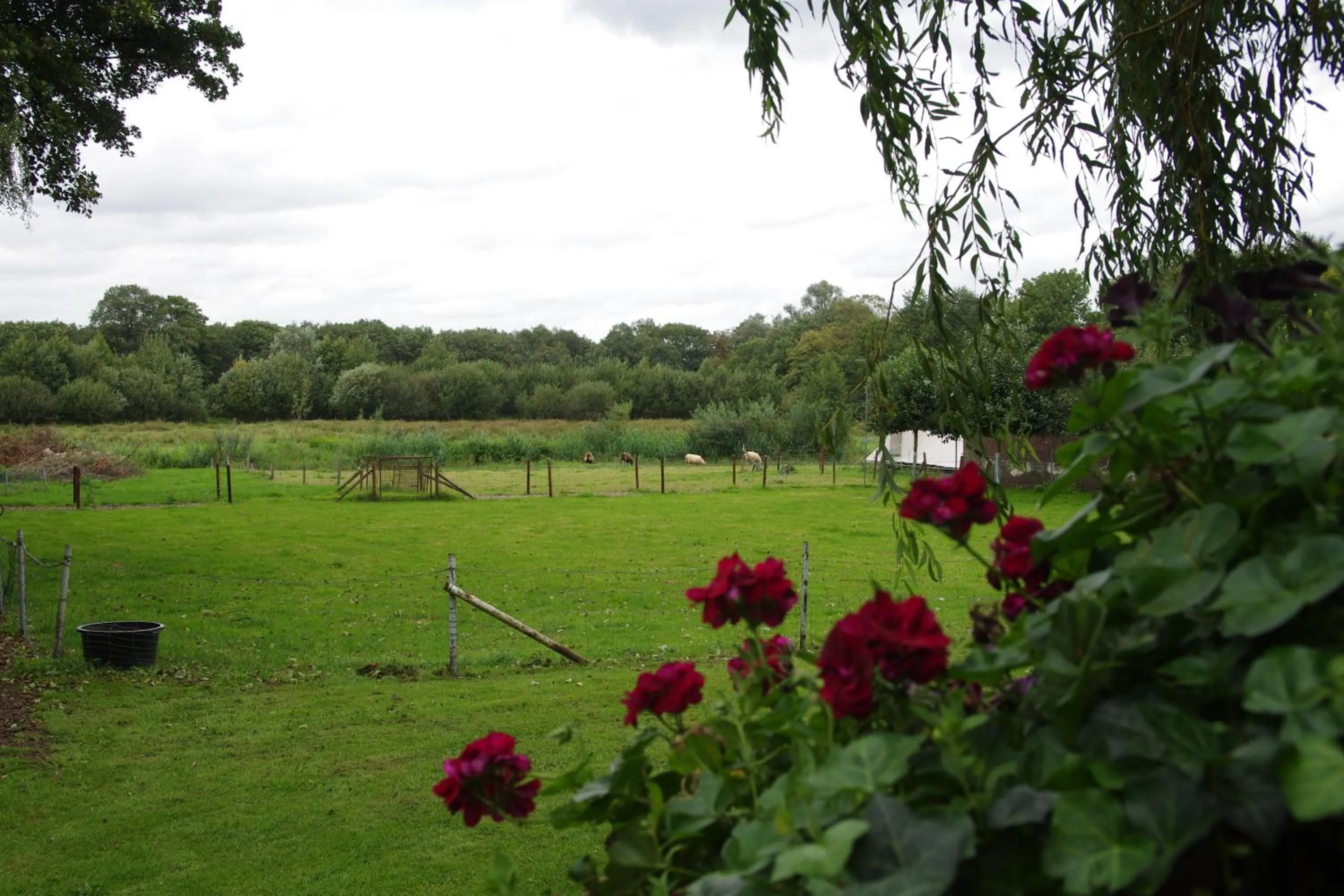 Landmark view in Vakantie Meerlo