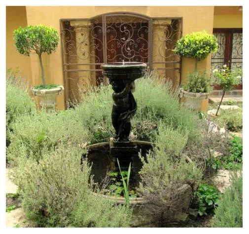 Garden view in The Lemon Tree Self- Catering