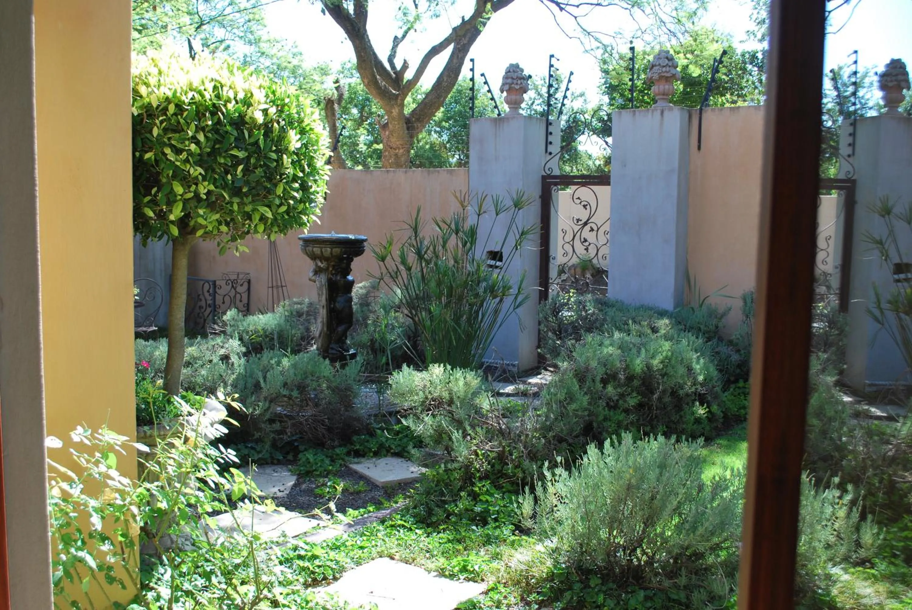 Garden in The Lemon Tree Self- Catering
