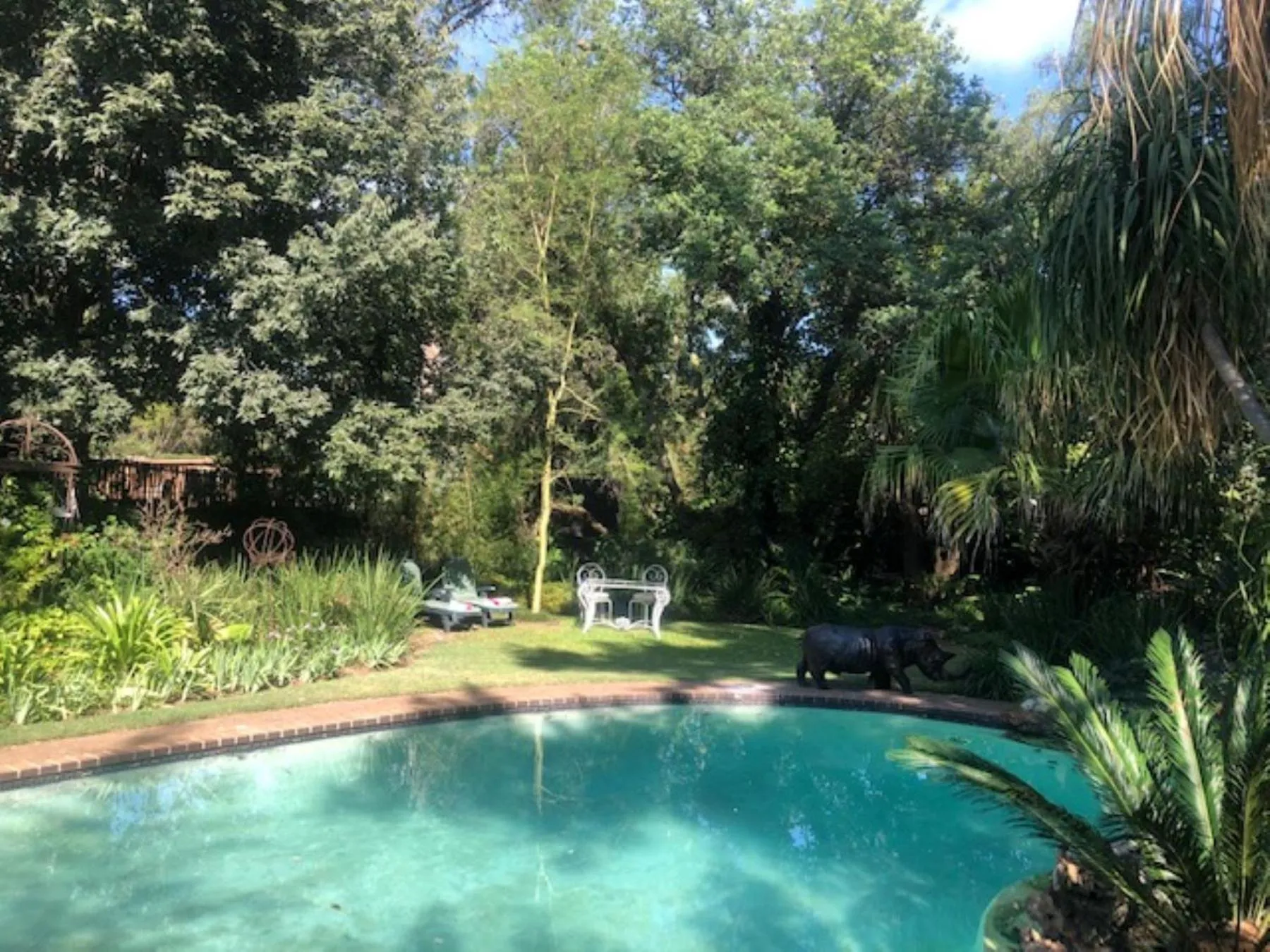 Swimming pool in The Lemon Tree Self- Catering