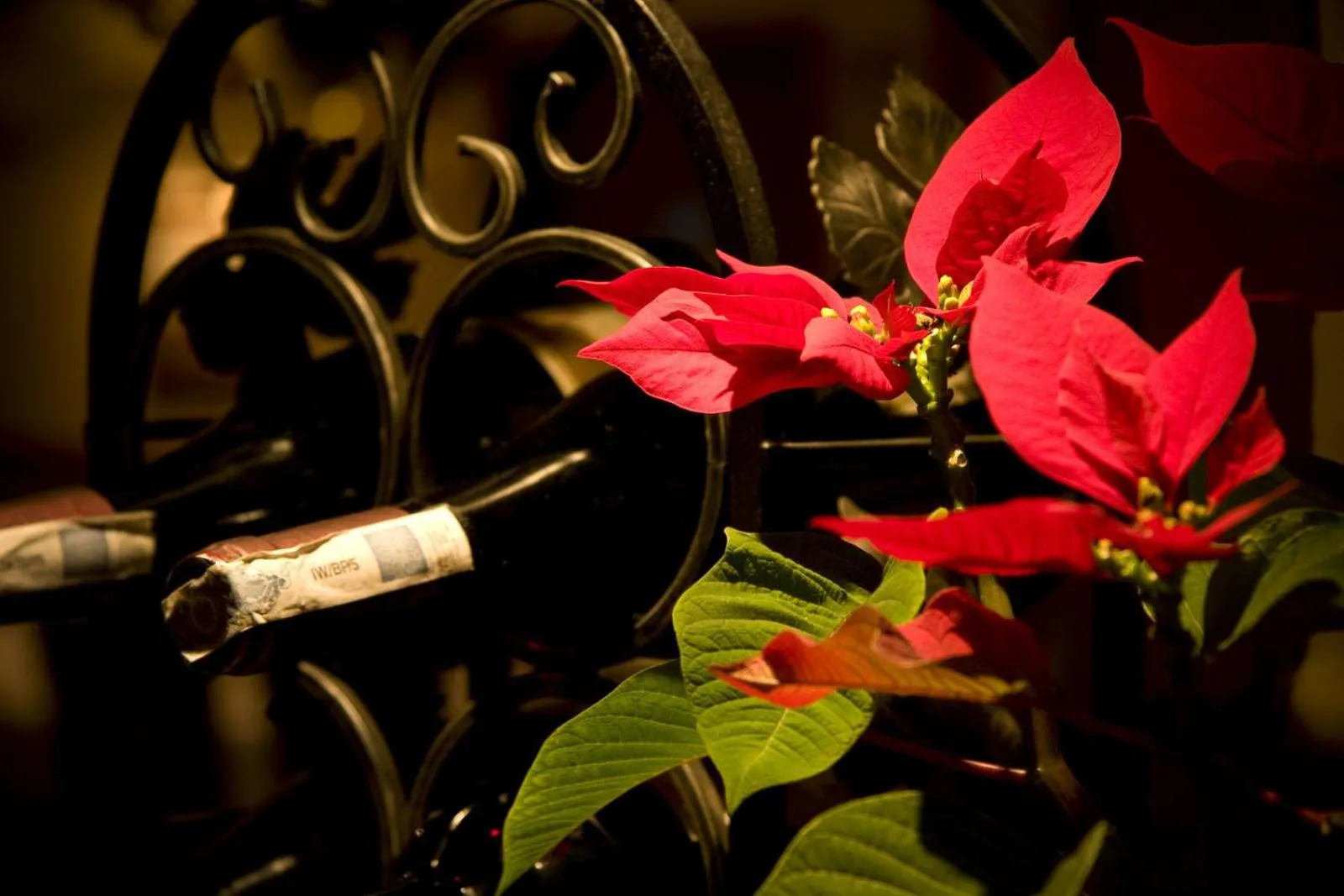 Restaurant/places to eat in Hotel Karolinka