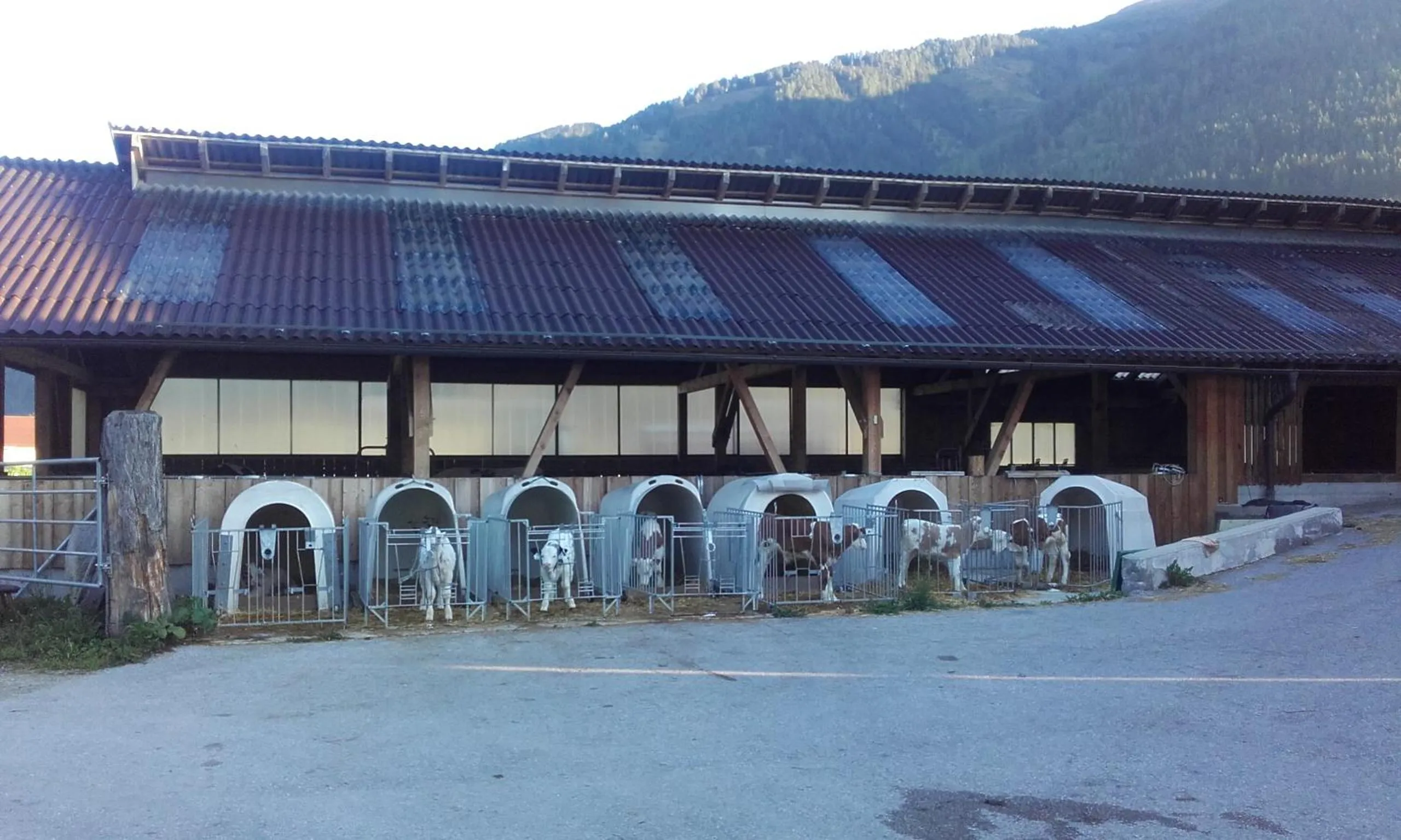 Property building in Ferienhaus Reinfrank