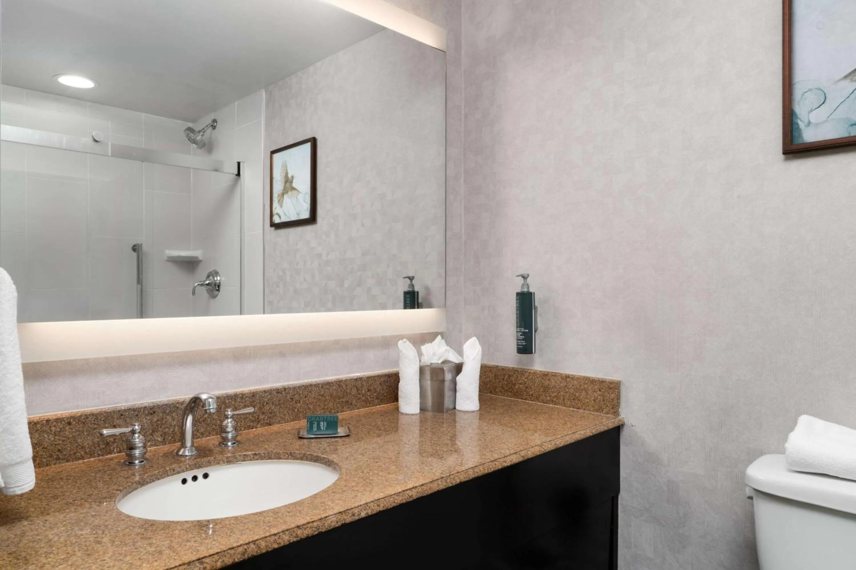 Bathroom in DoubleTree by Hilton Bradley International Airport