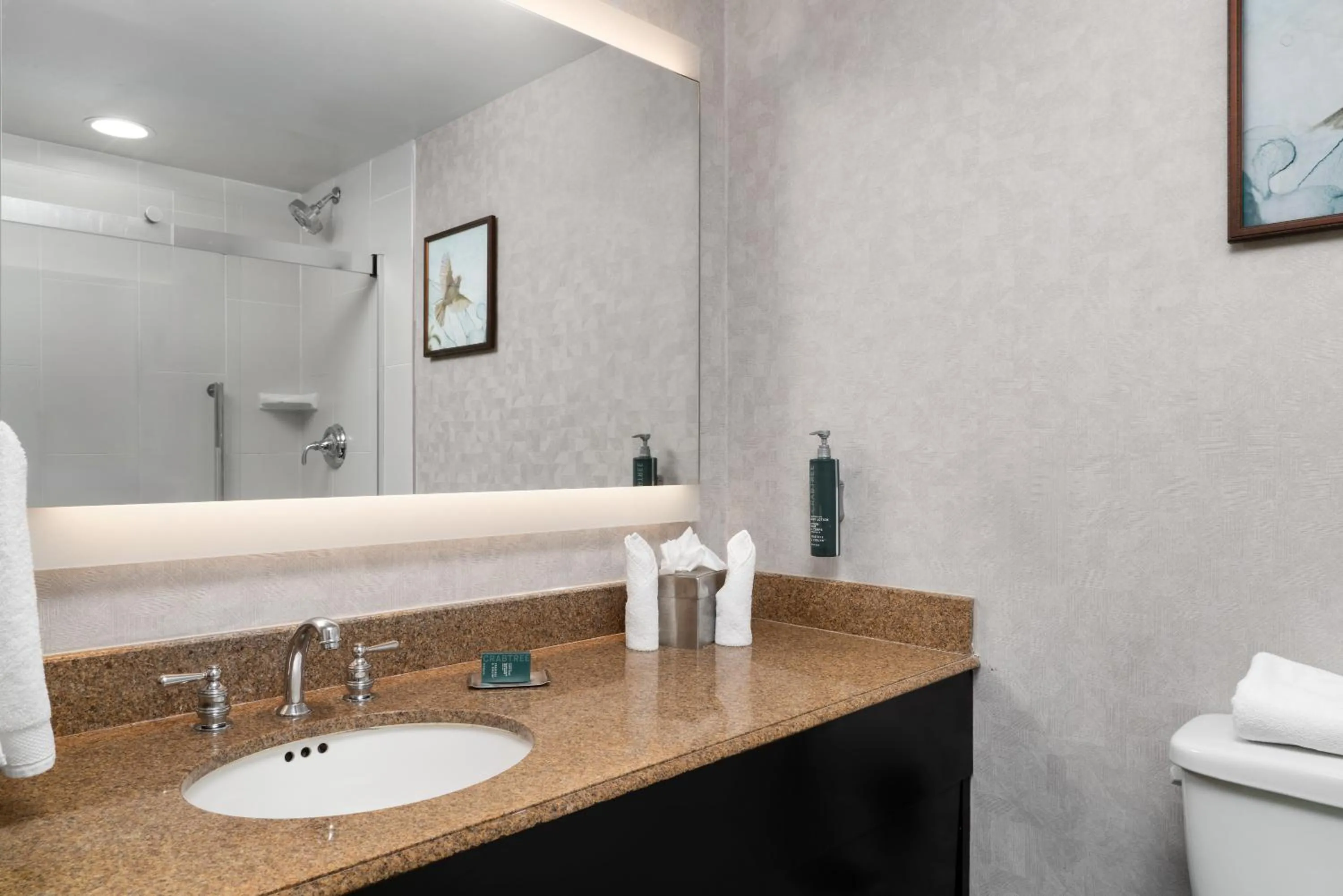 DoubleTree by Hilton Bradley International Airport