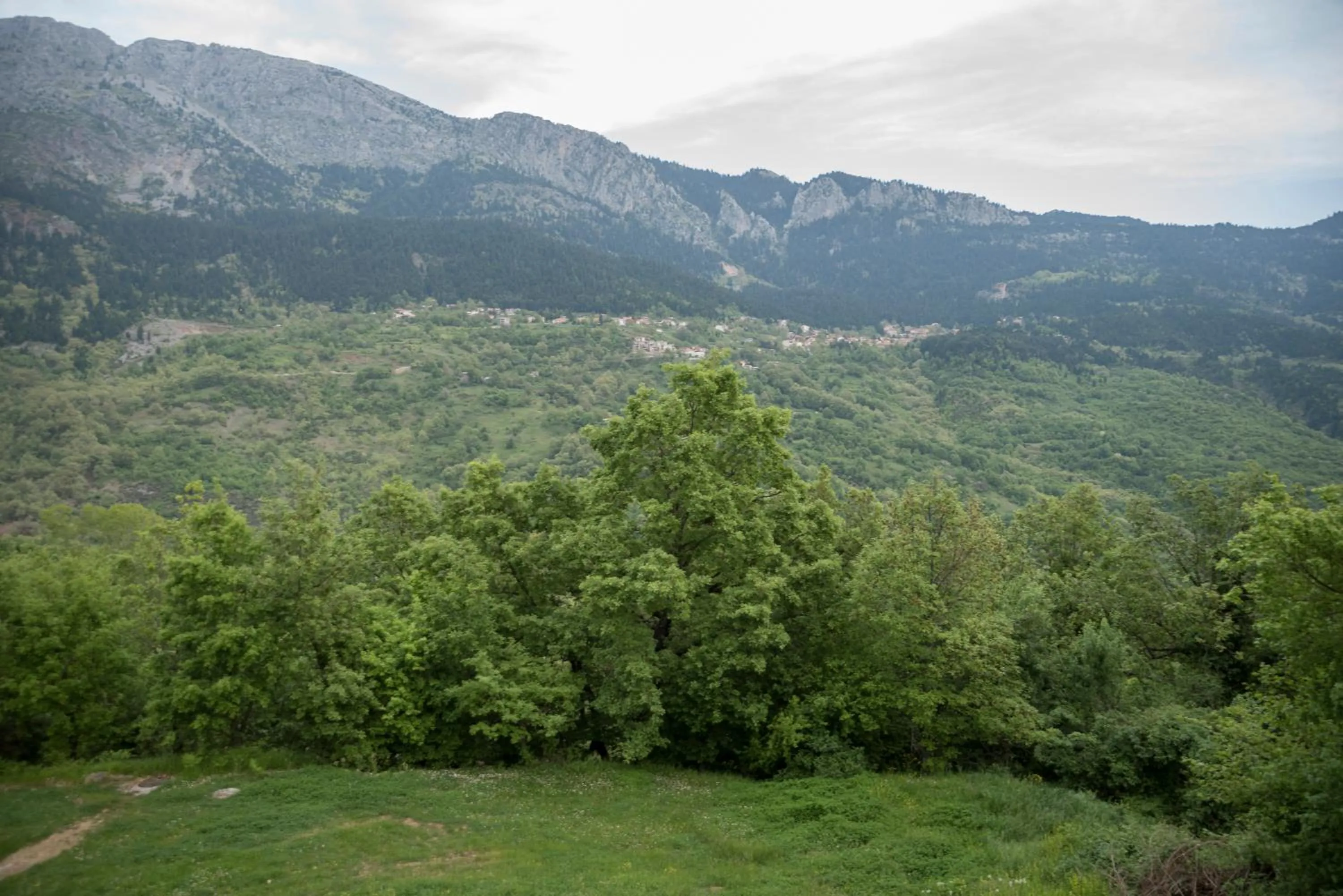 Archontiko Christodoulou