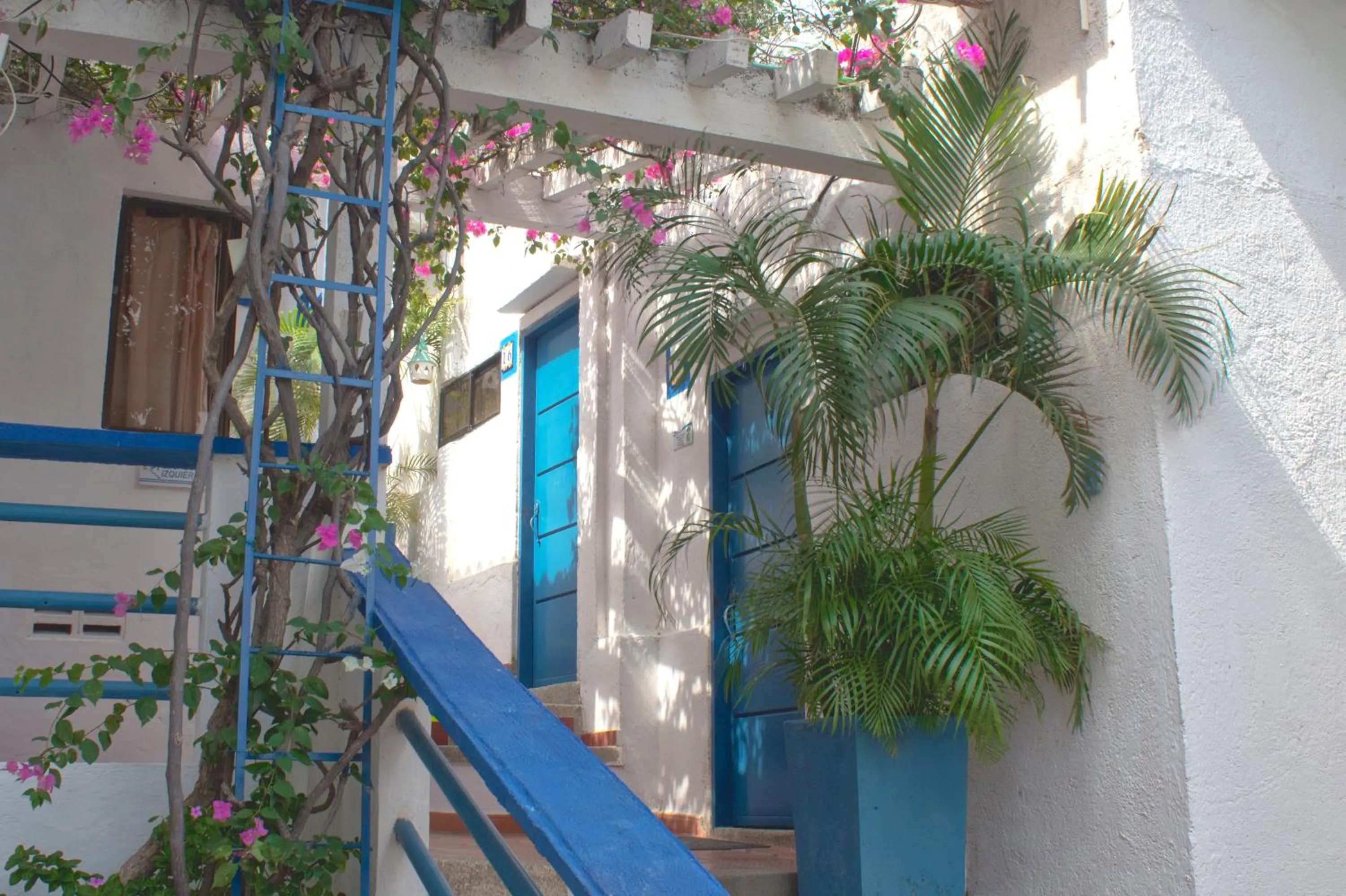 Spring in Techos Azules