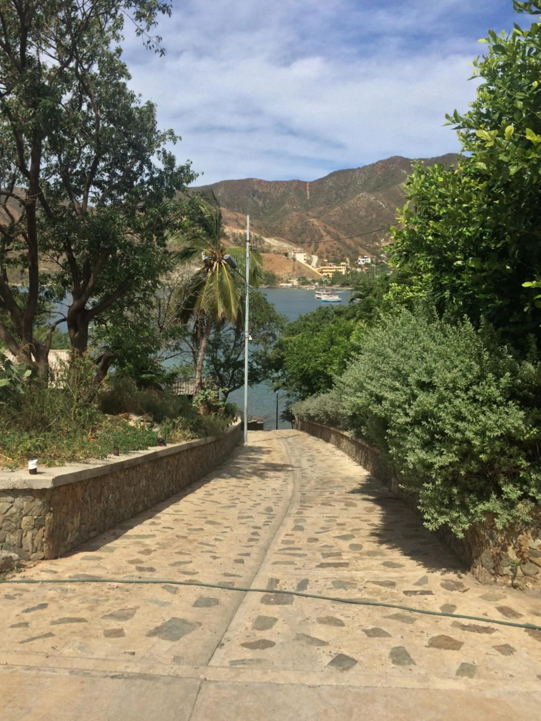 Spring in Techos Azules