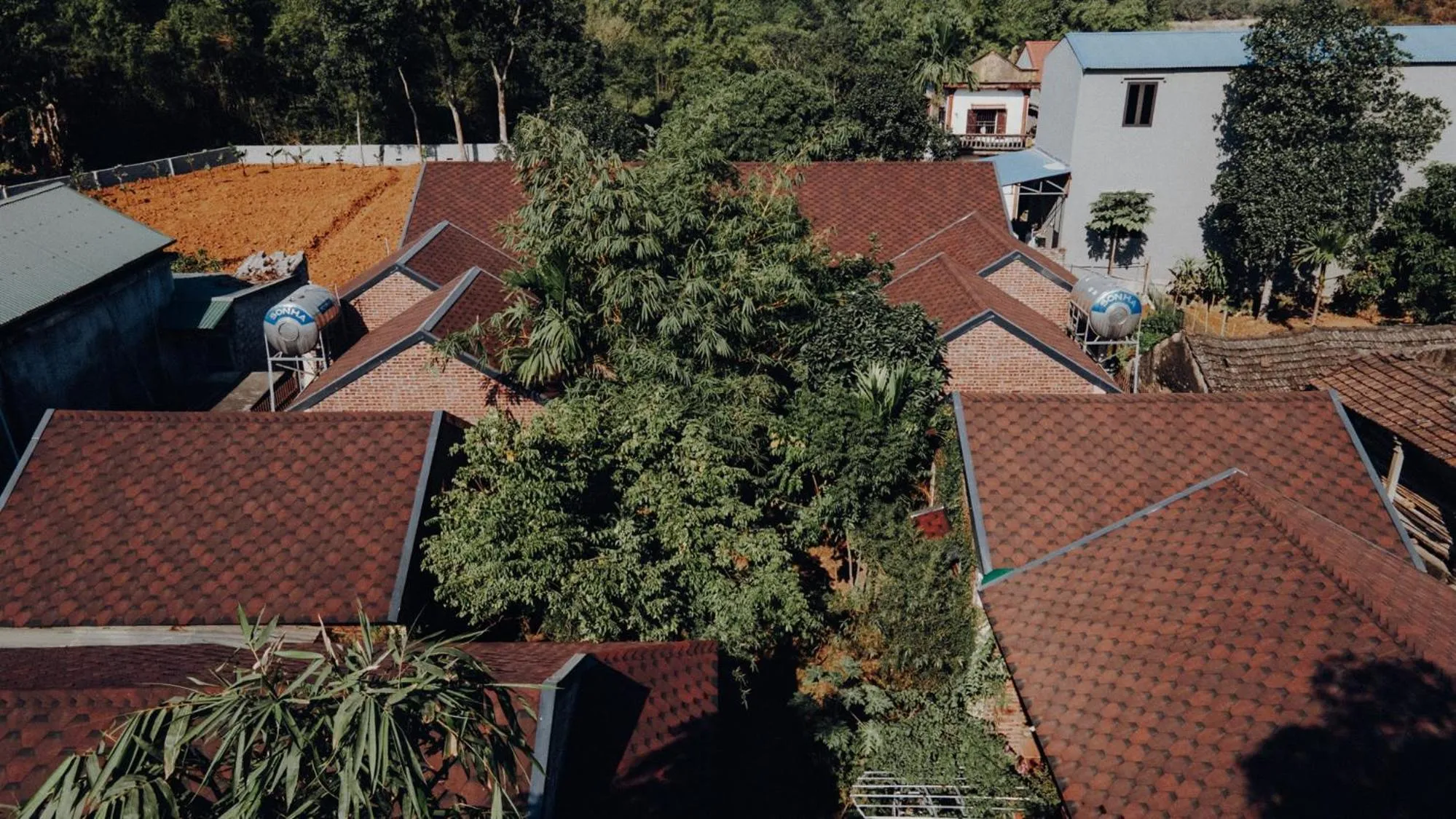 Property building in Ninh Binh Palm Homestay